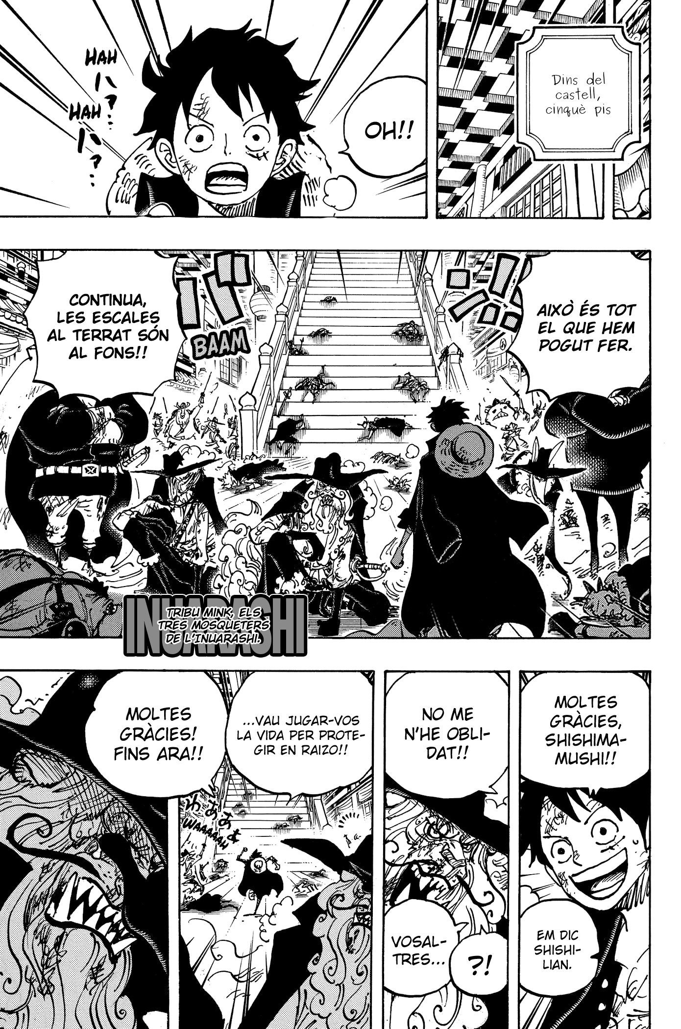 Read One Piece CAT Manga Online