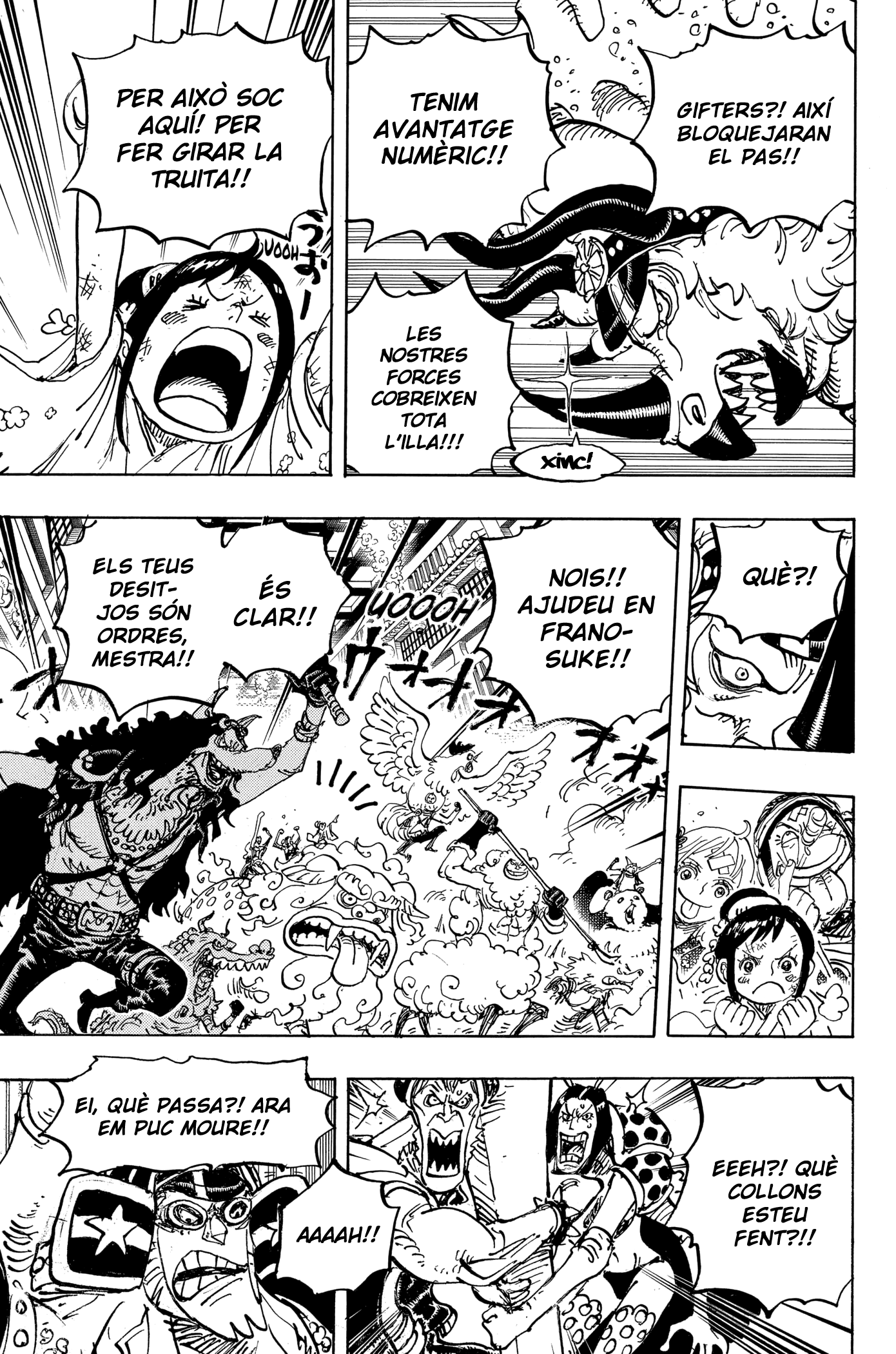 Read One Piece CAT Manga Online