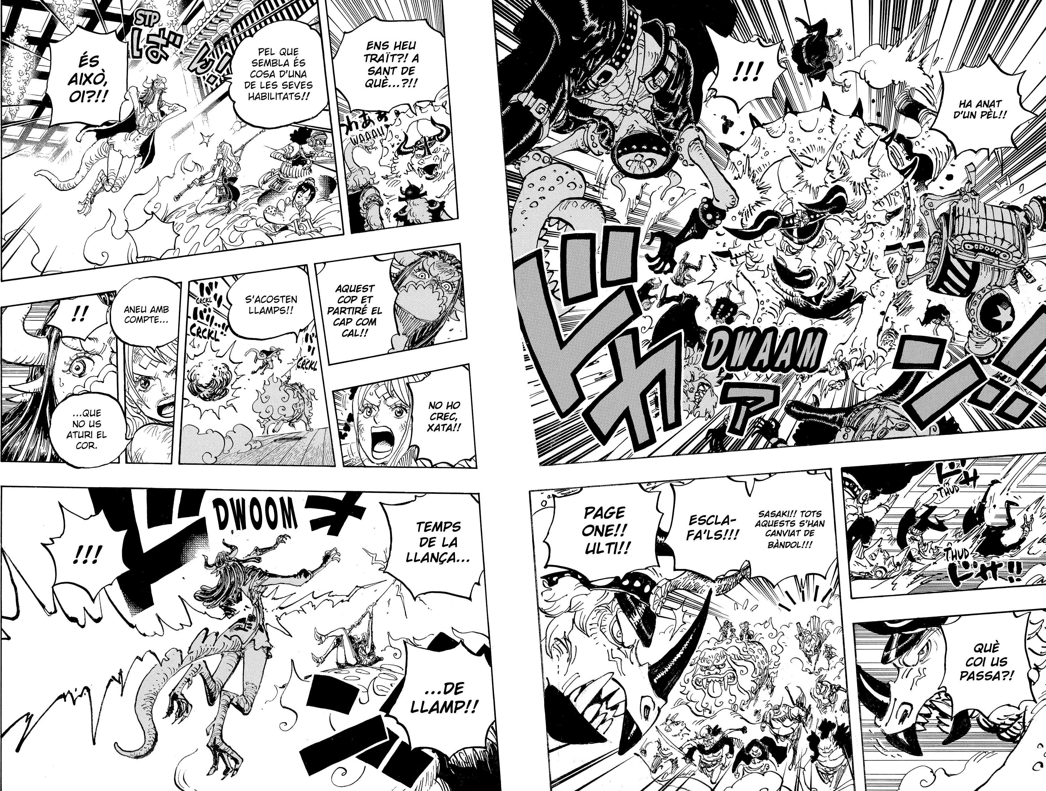 Read One Piece CAT Manga Online