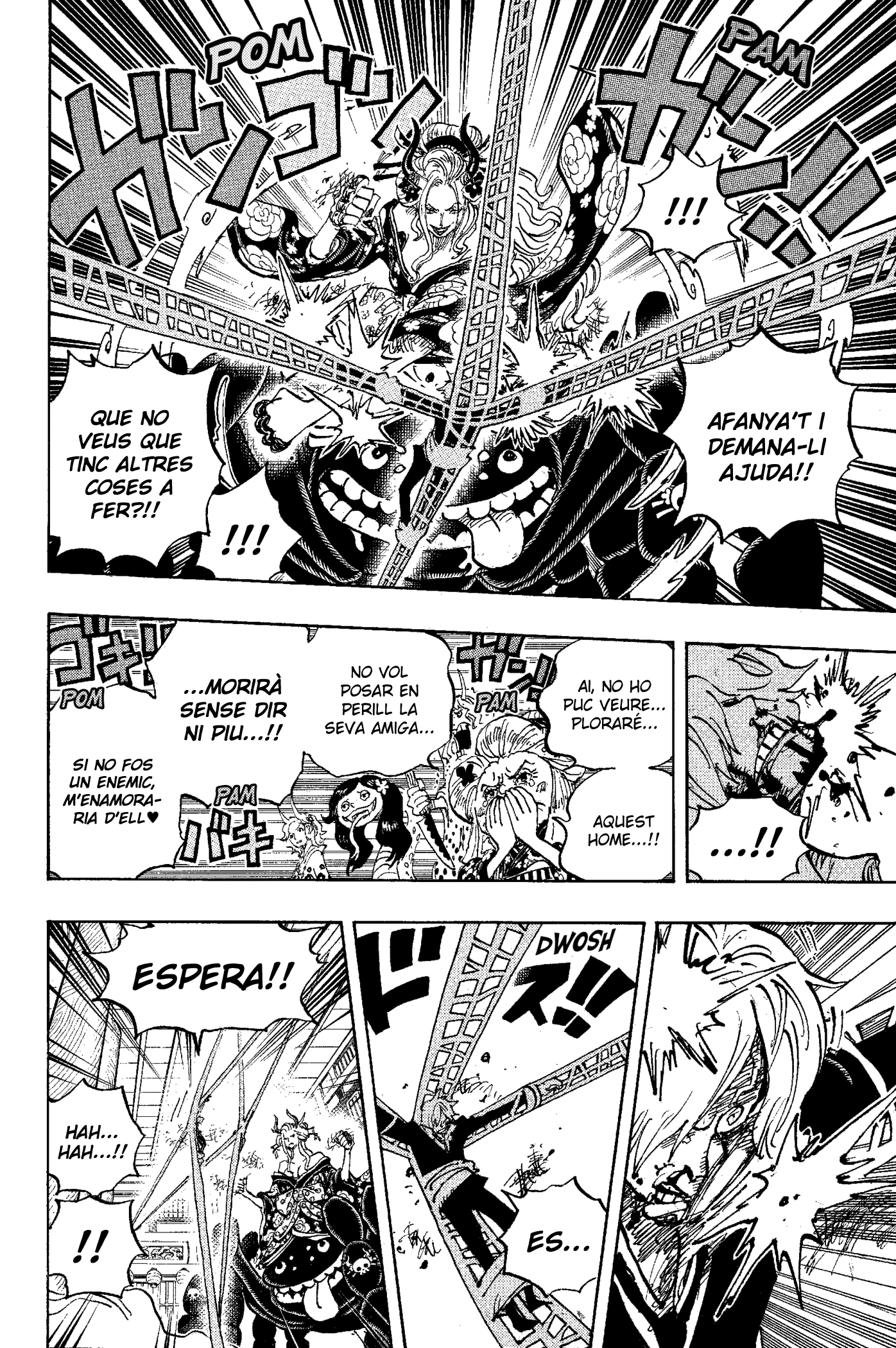 Read One Piece CAT Manga Online
