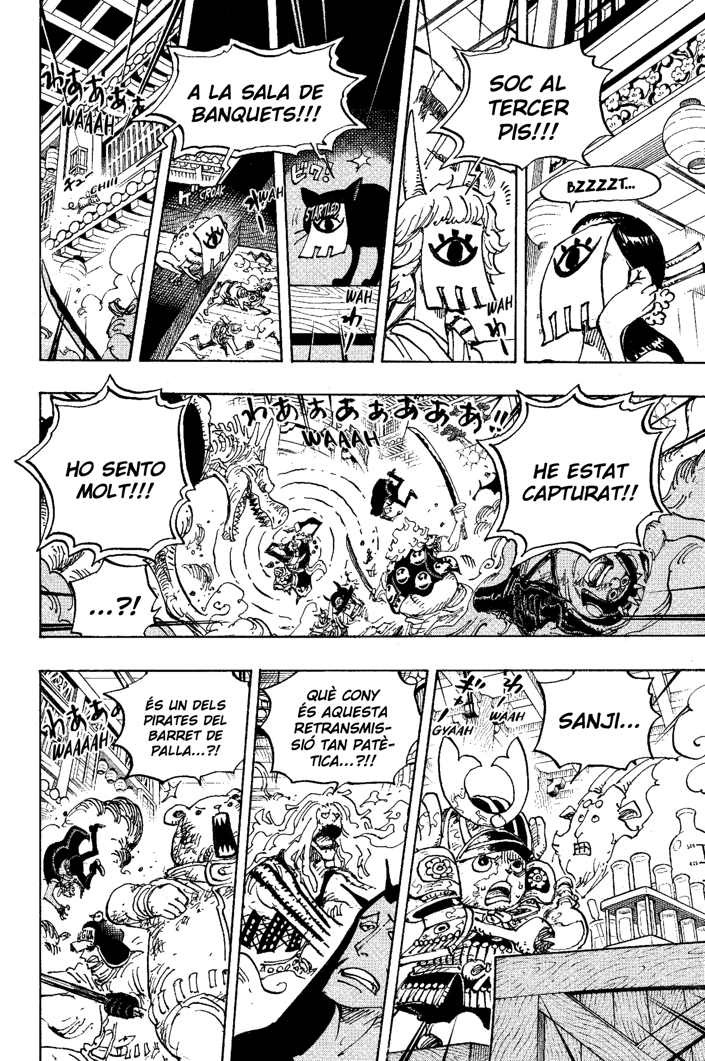 Read One Piece CAT Manga Online