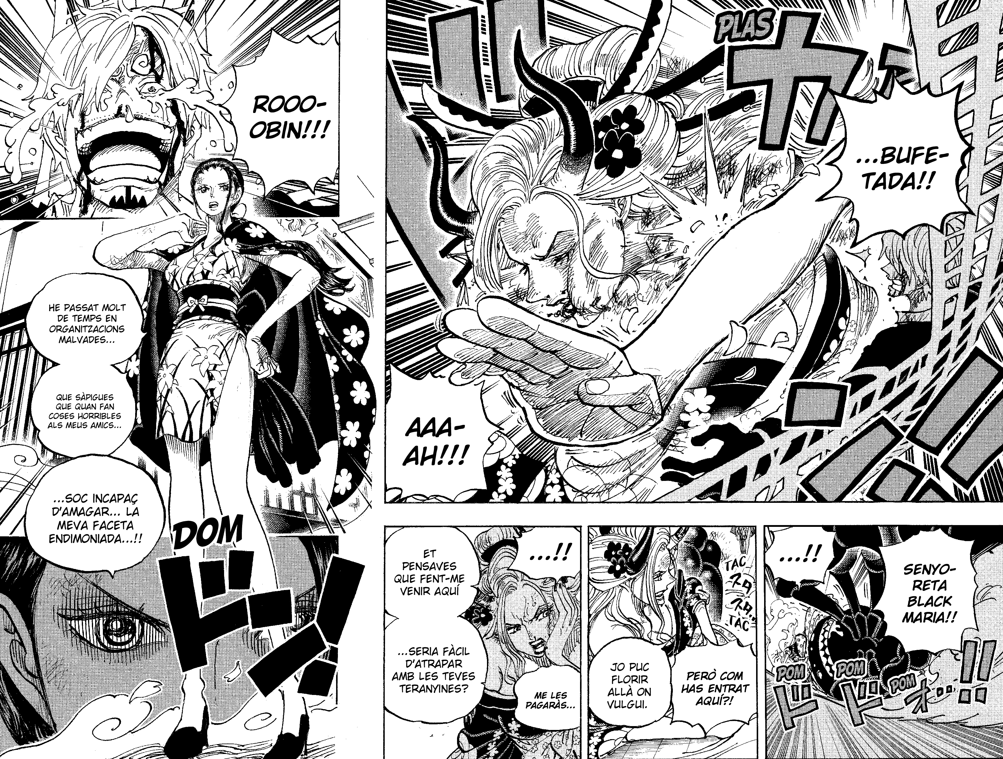 Read One Piece CAT Manga Online