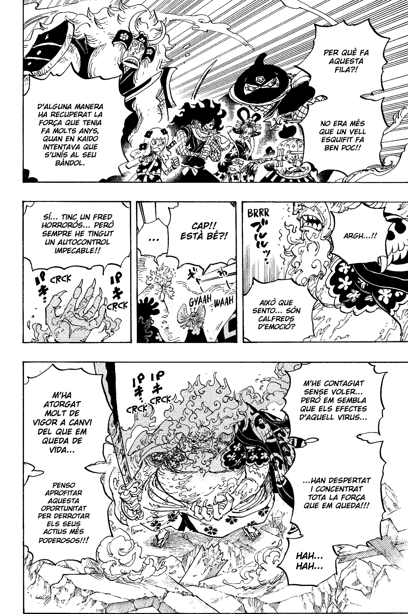 Read One Piece CAT Manga Online