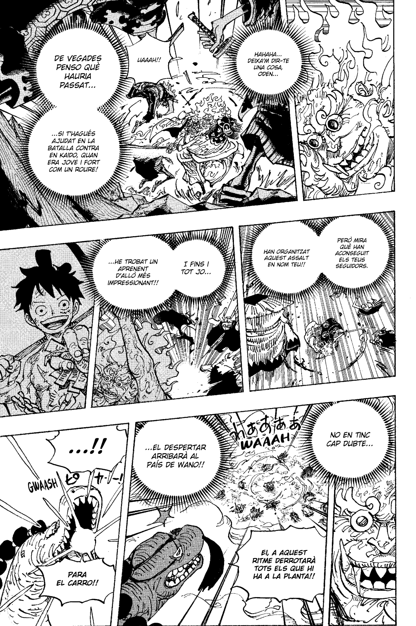 Read One Piece CAT Manga Online