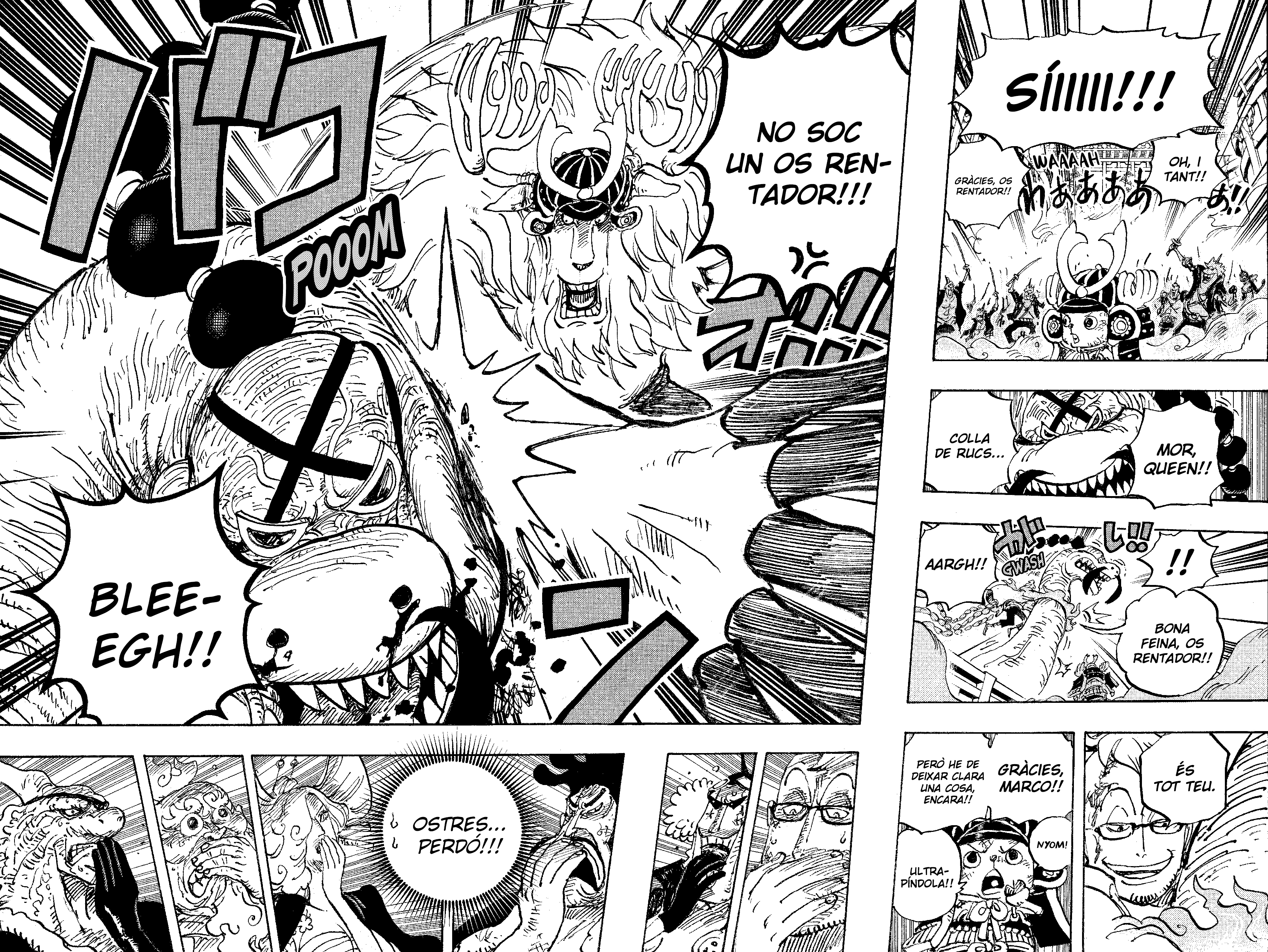 Read One Piece CAT Manga Online