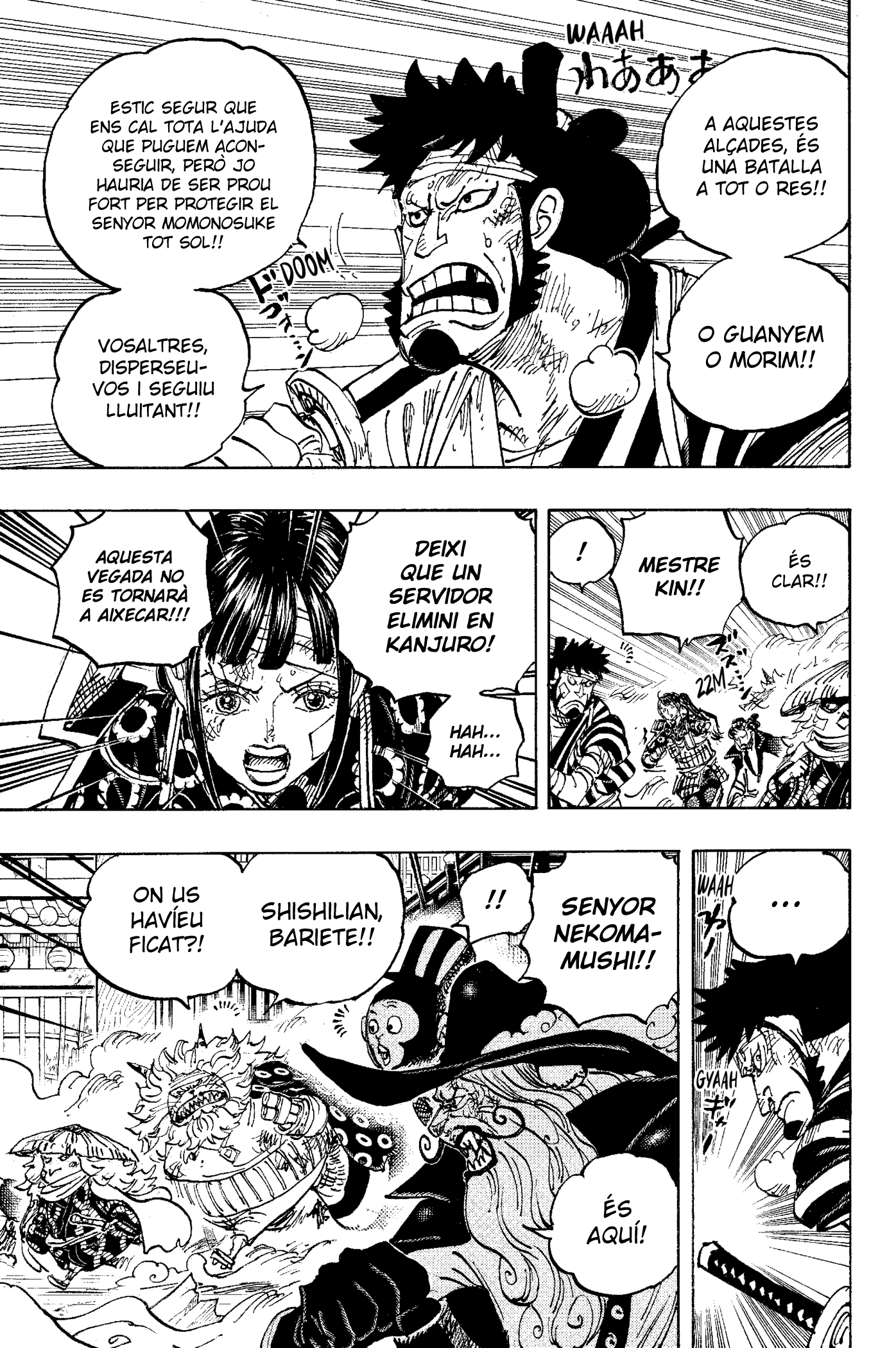 Read One Piece CAT Manga Online