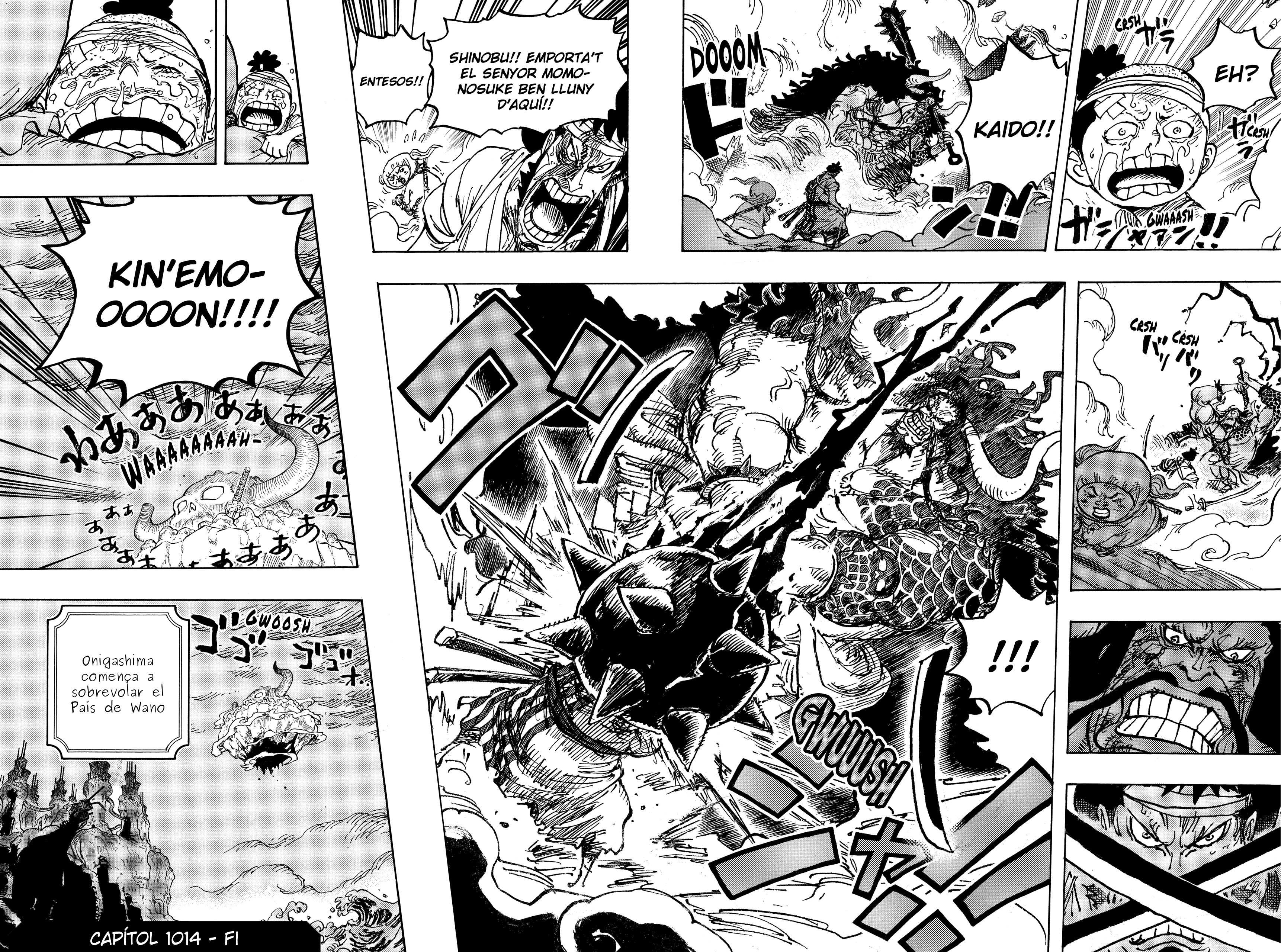 Read One Piece CAT Manga Online