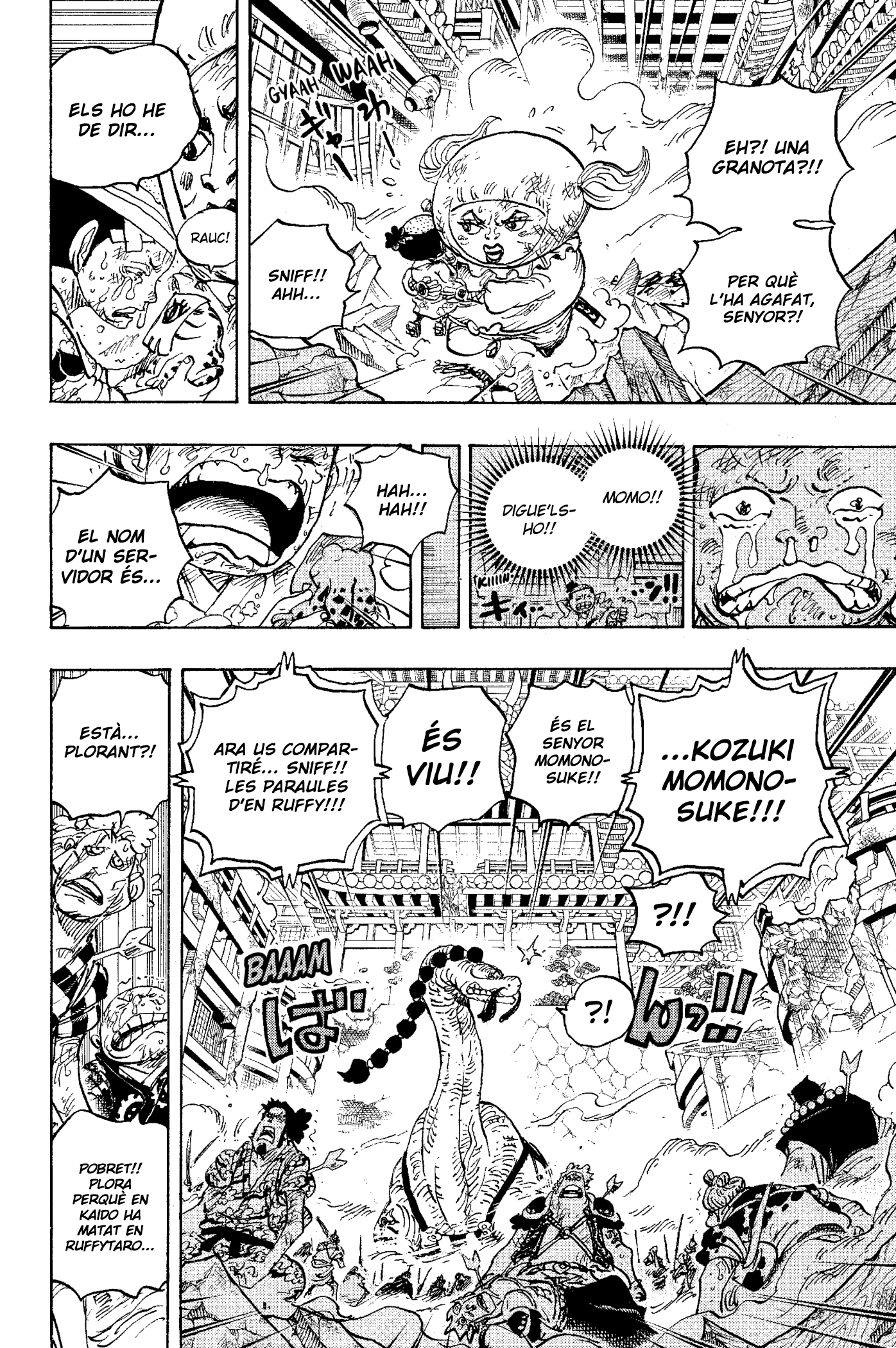 Read One Piece CAT Manga Online