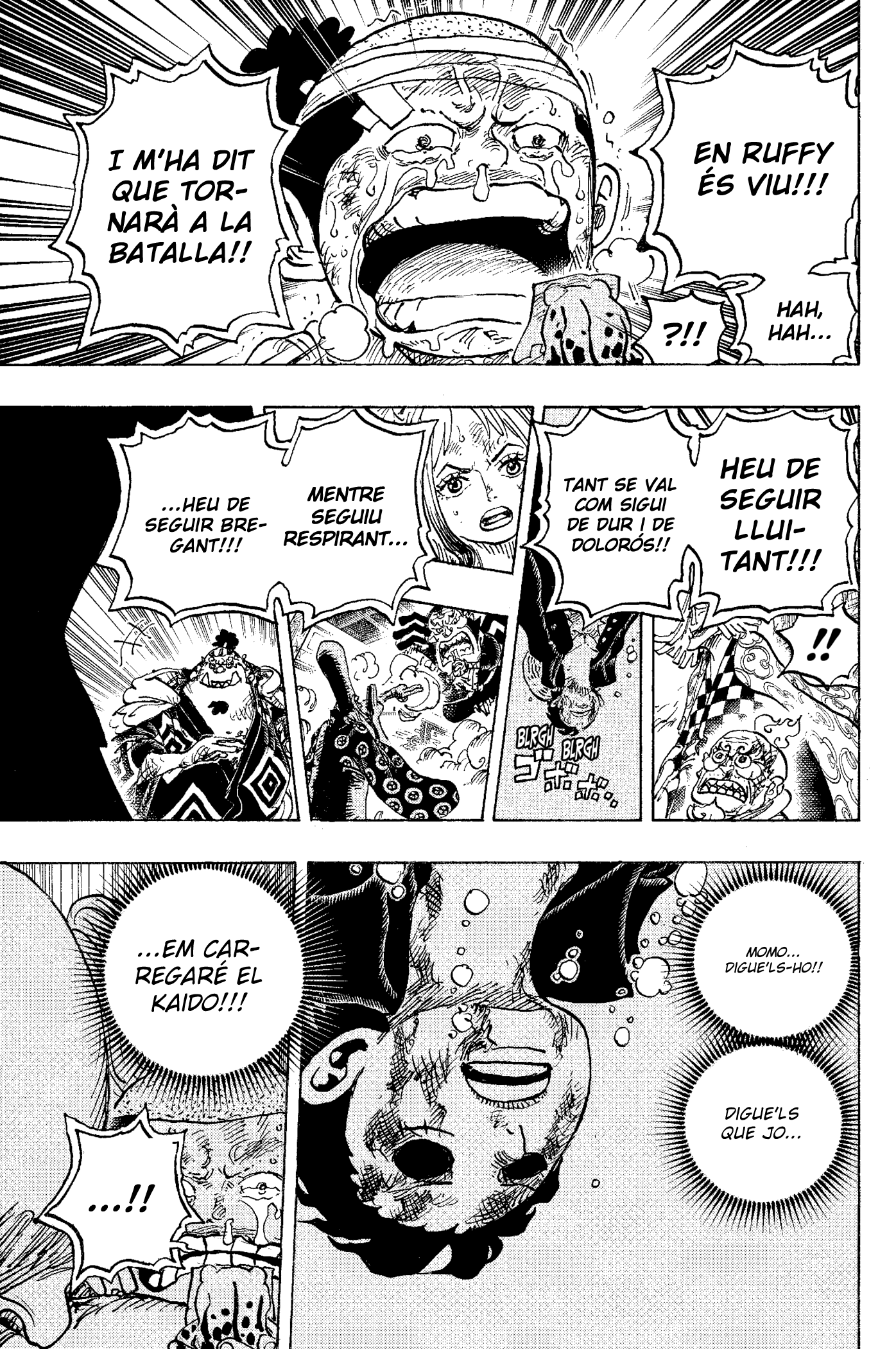 Read One Piece CAT Manga Online