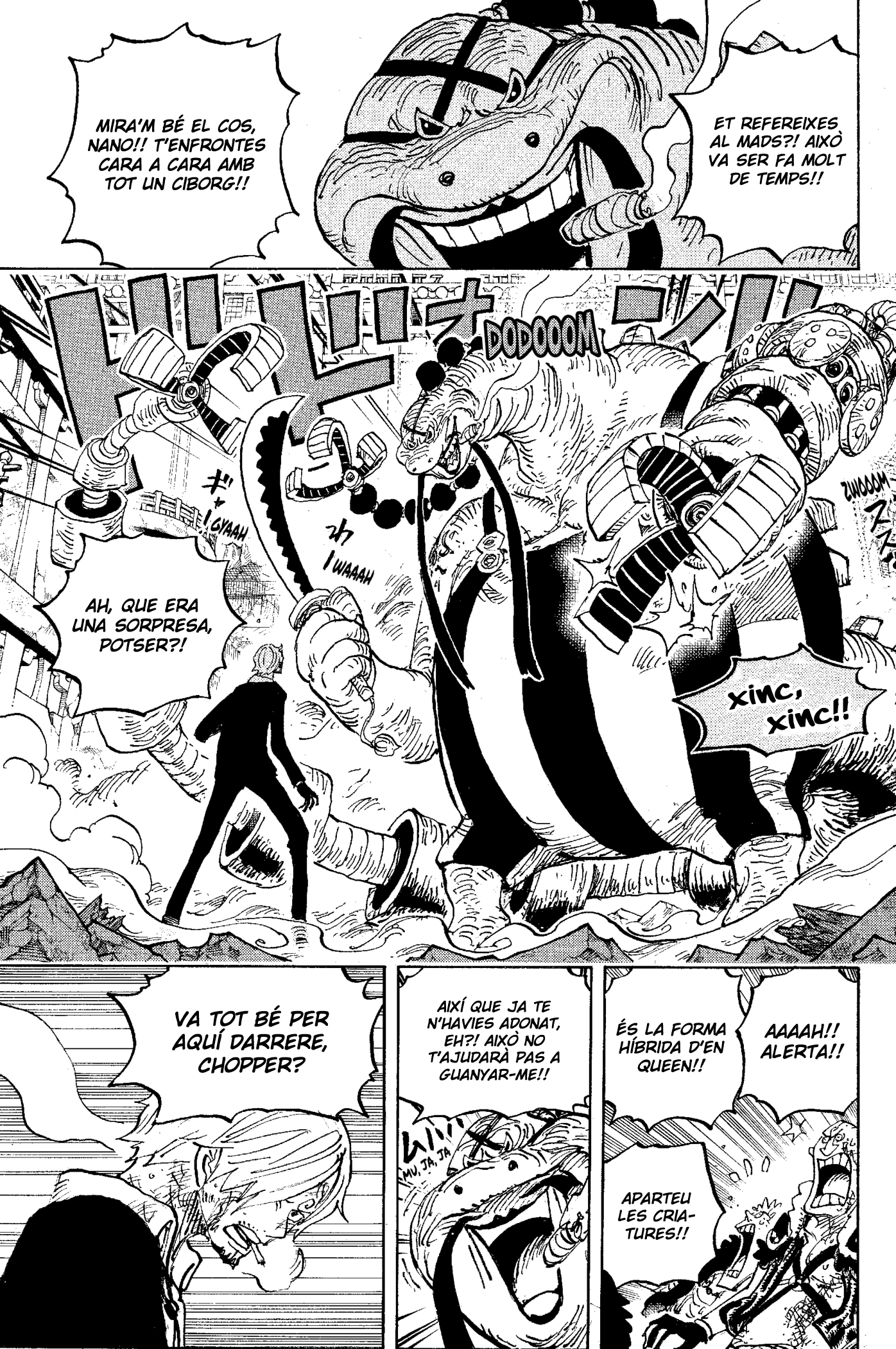 Read One Piece CAT Manga Online