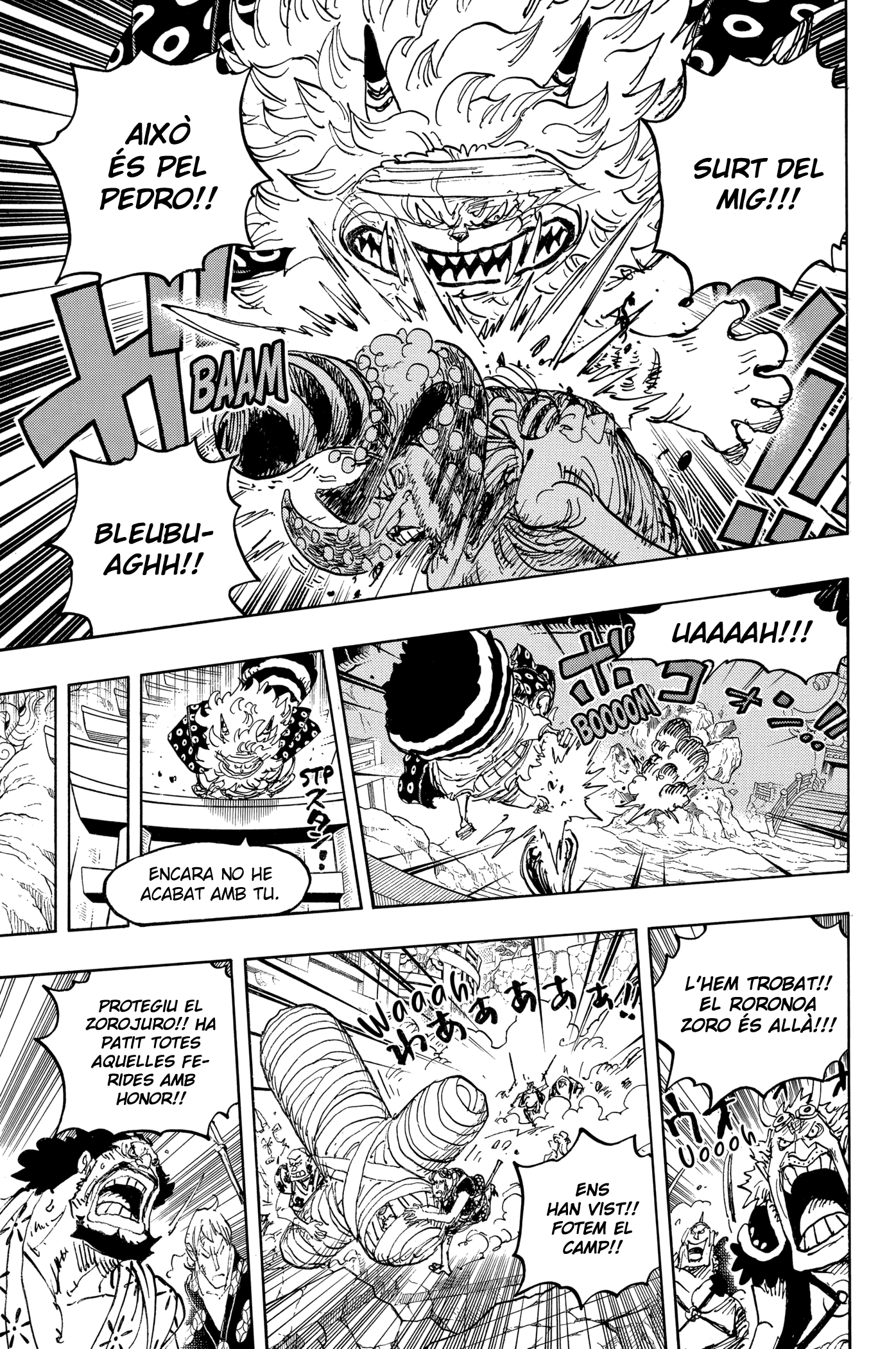 Read One Piece CAT Manga Online