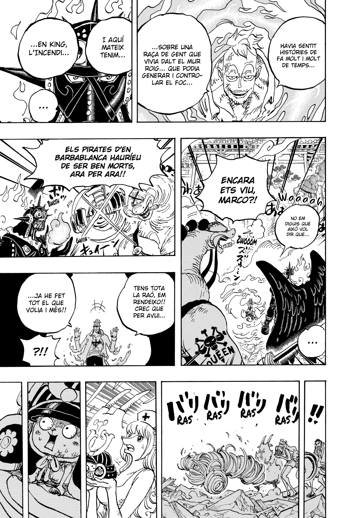 Read One Piece CAT Manga Online