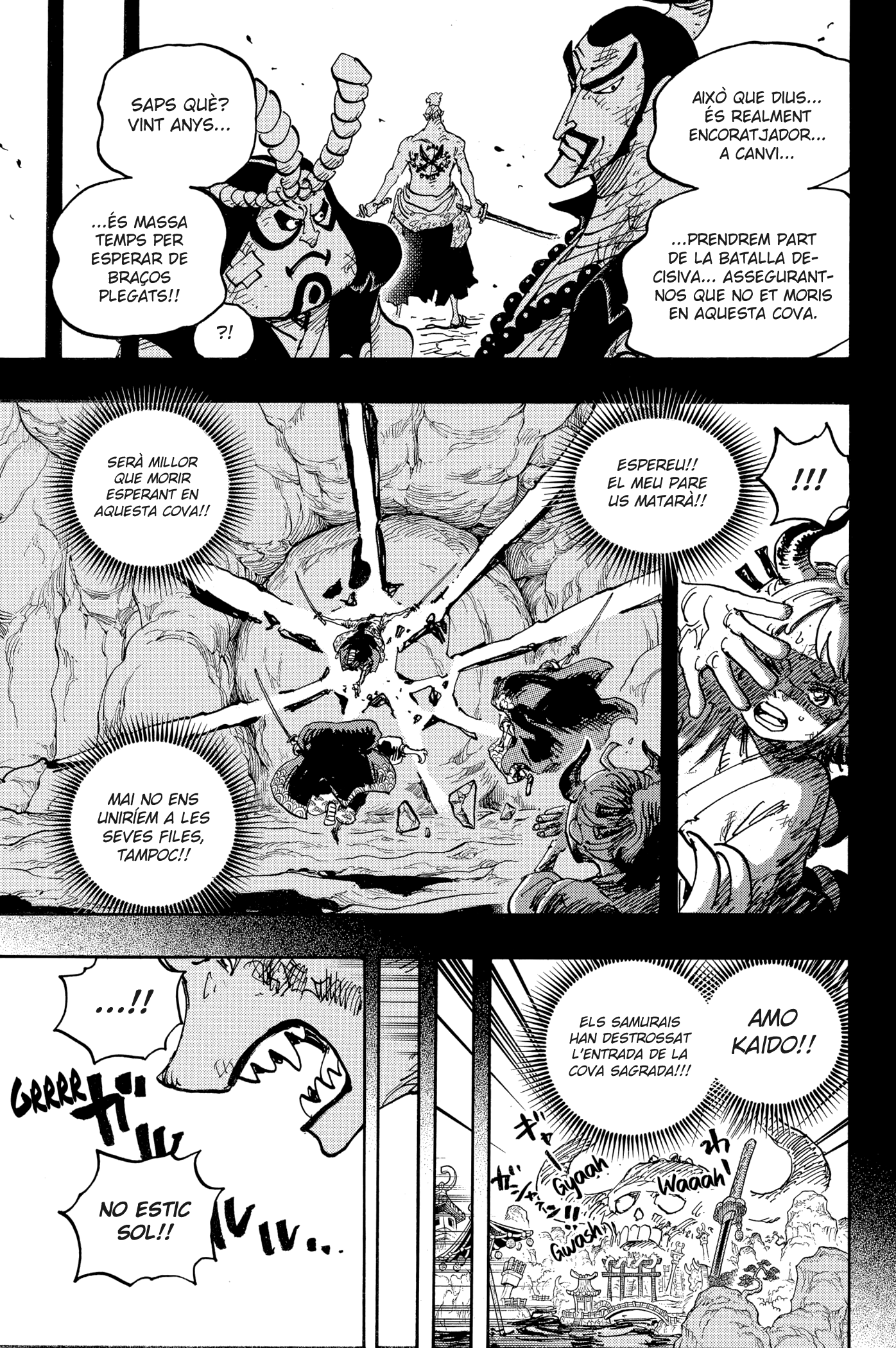 Read One Piece CAT Manga Online