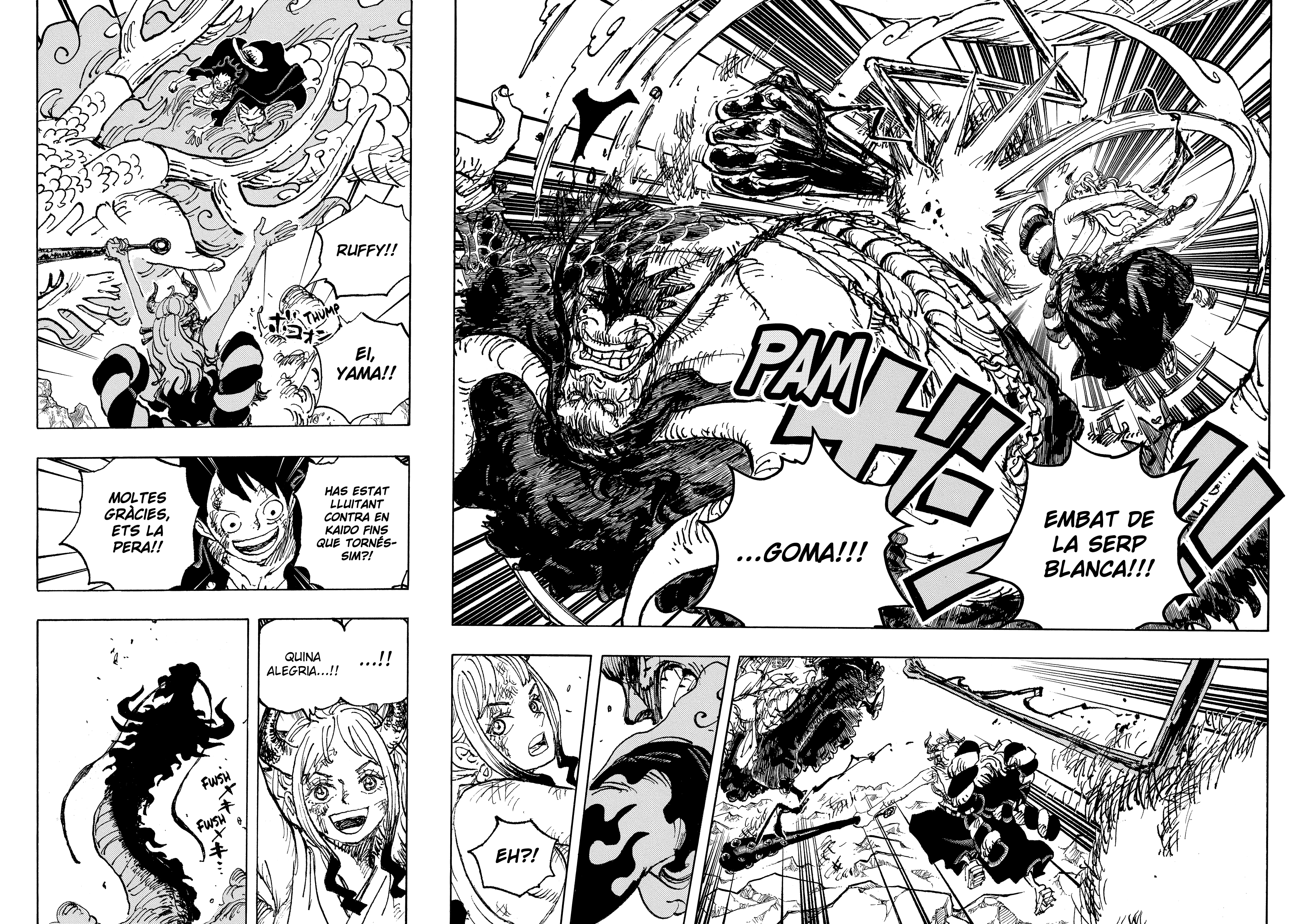 Read One Piece CAT Manga Online