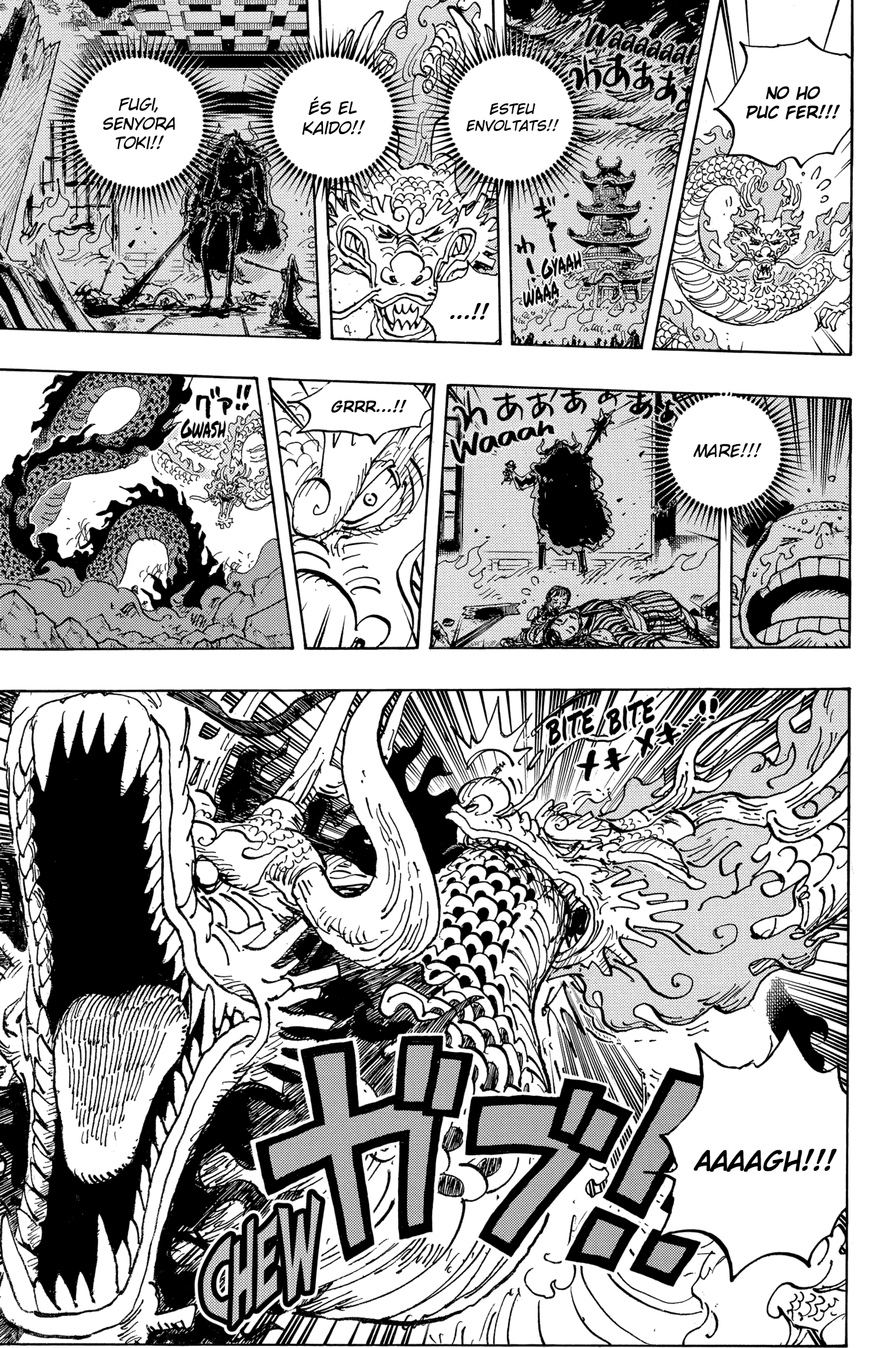 Read One Piece CAT Manga Online
