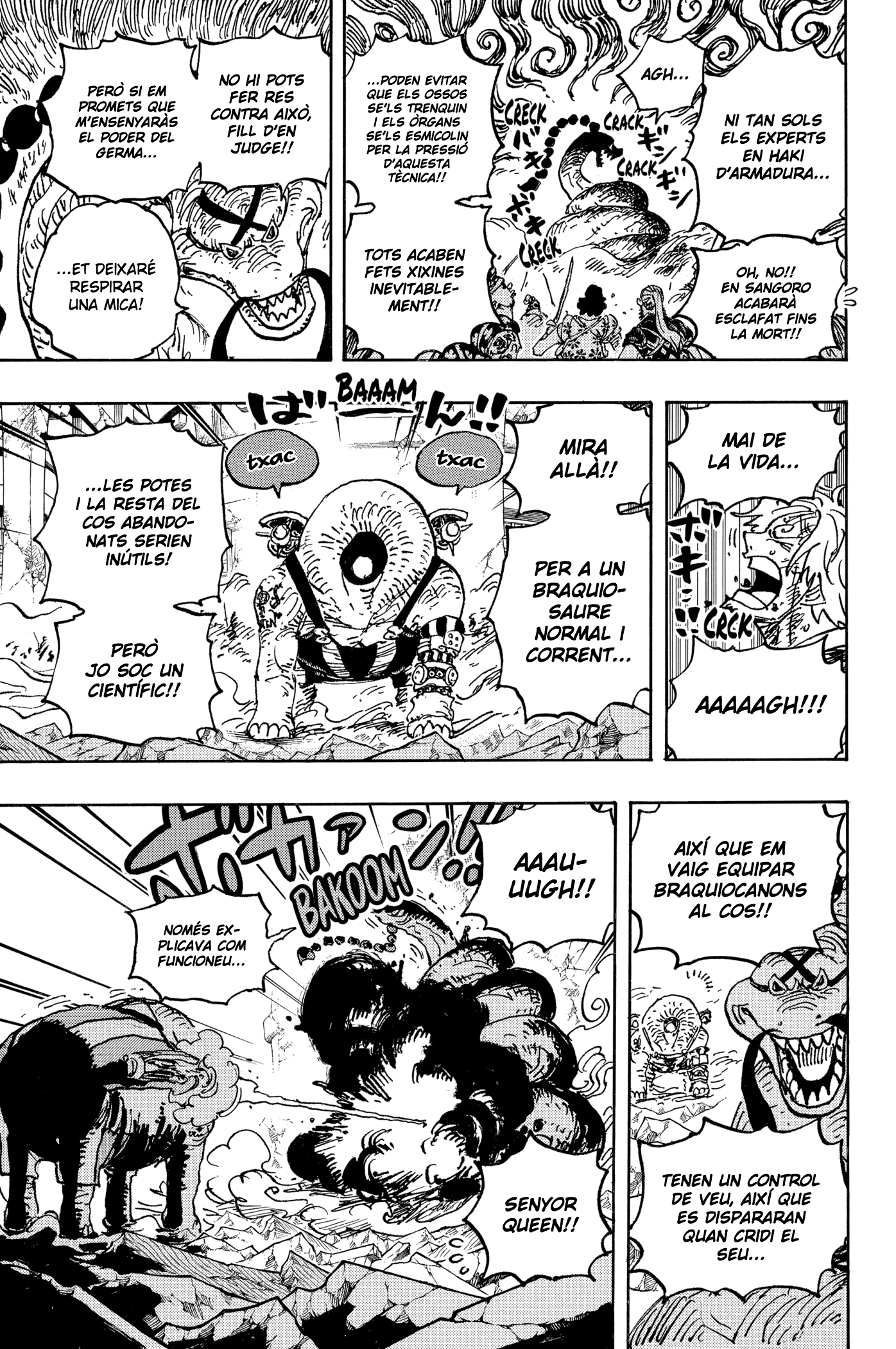 Read One Piece CAT Manga Online