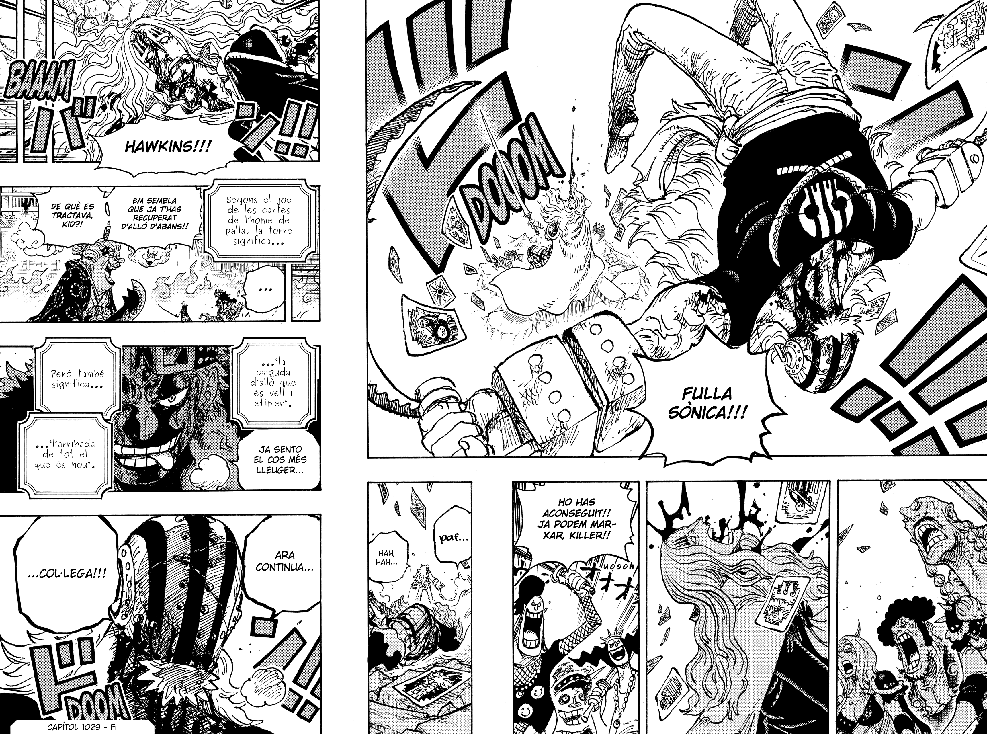 Read One Piece CAT Manga Online