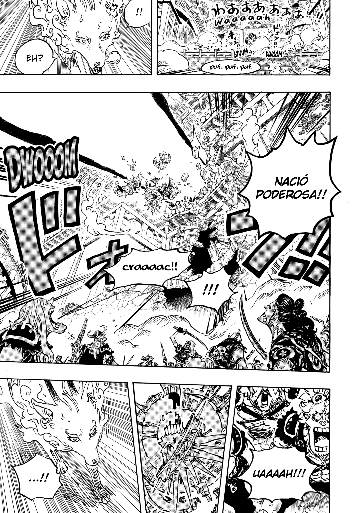 Read One Piece CAT Manga Online