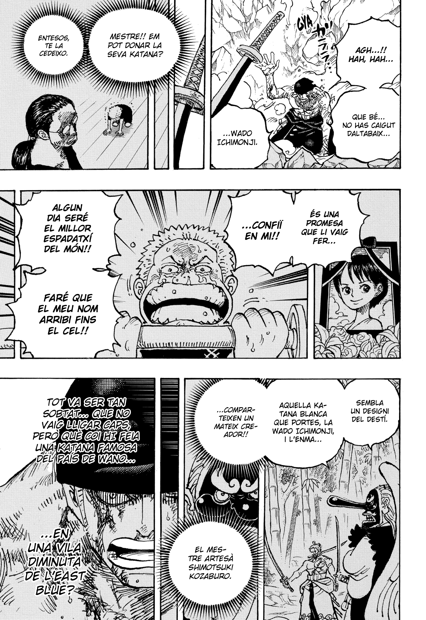 Read One Piece CAT Manga Online
