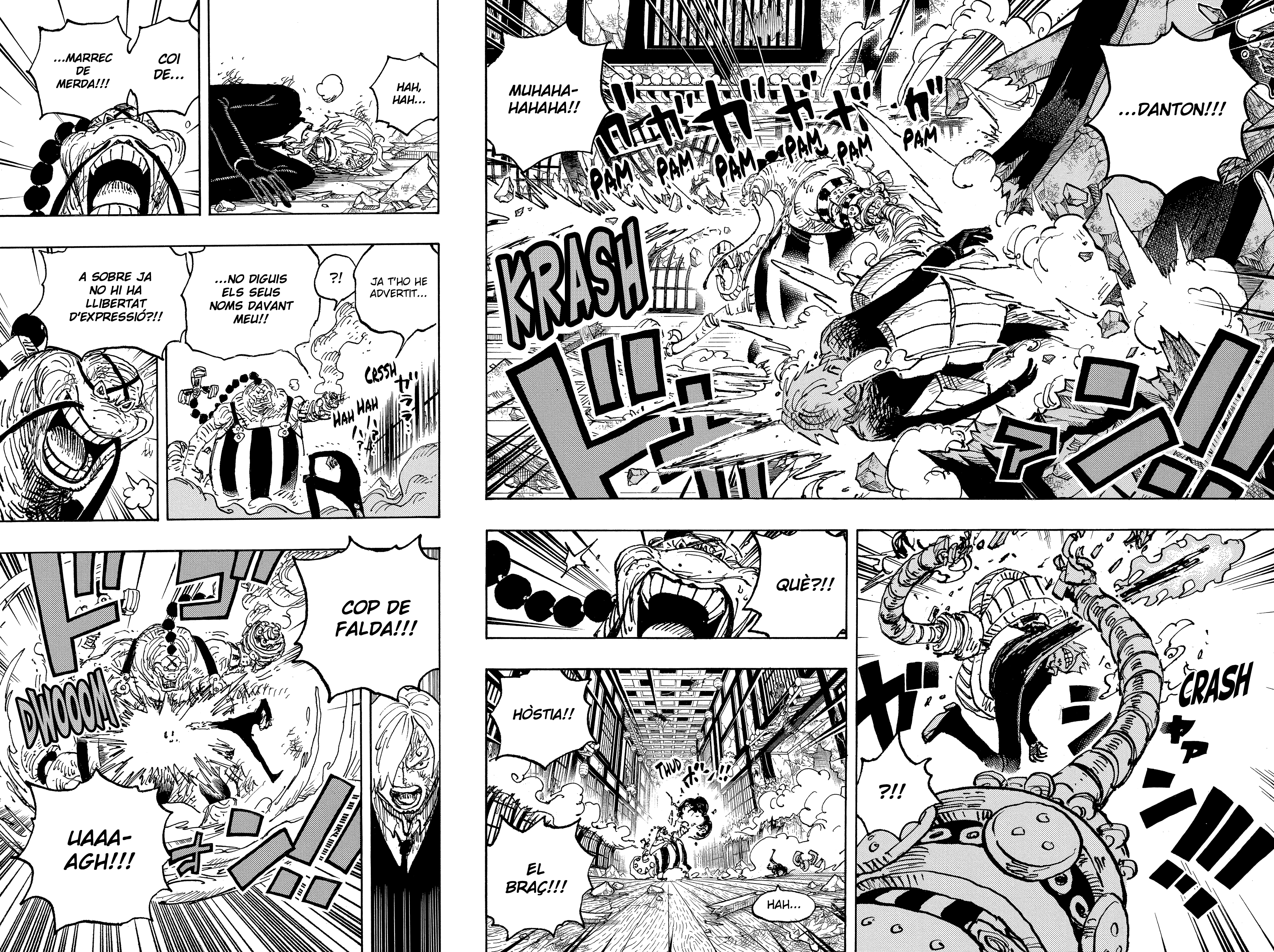 Read One Piece CAT Manga Online