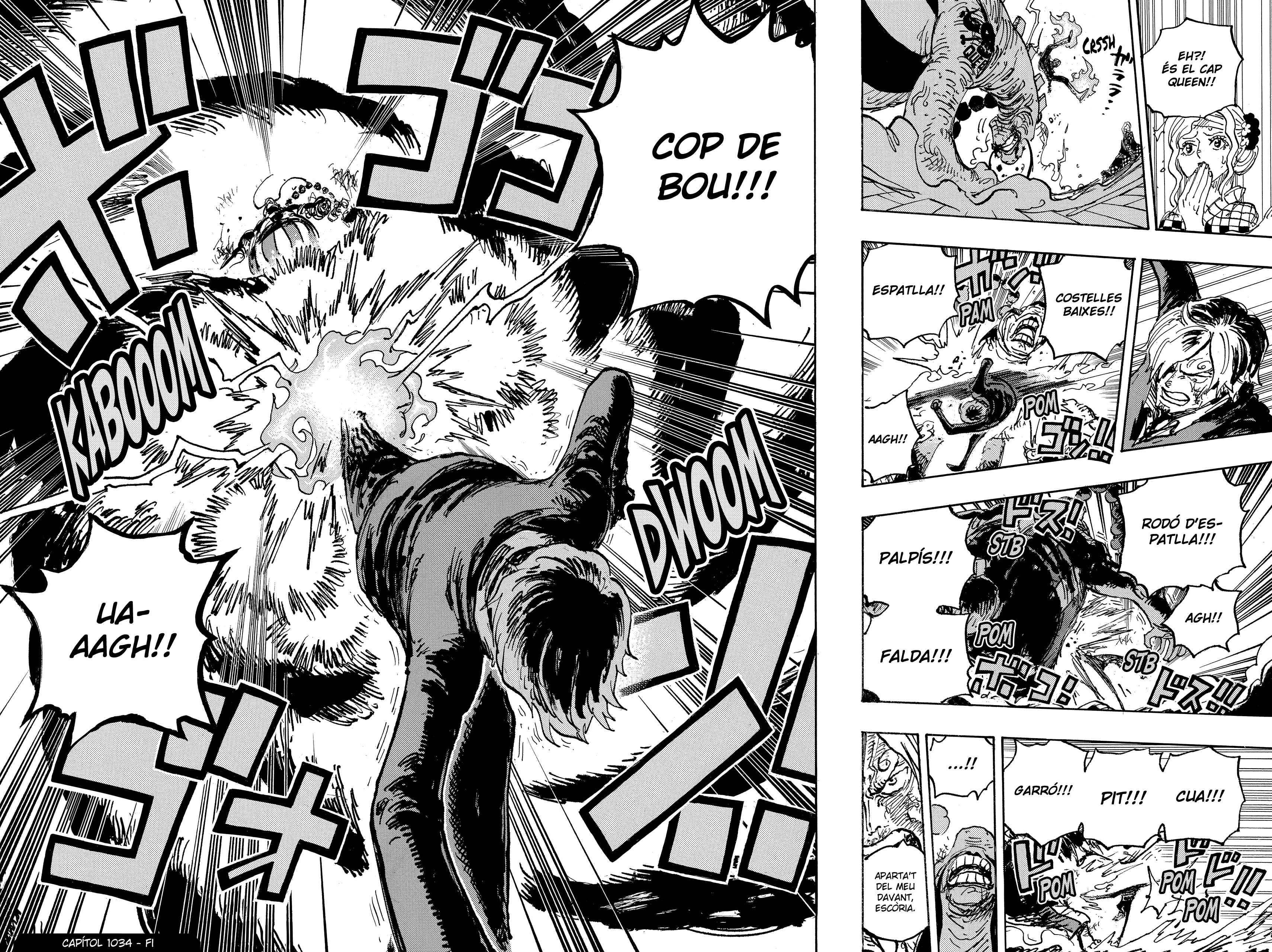 Read One Piece CAT Manga Online
