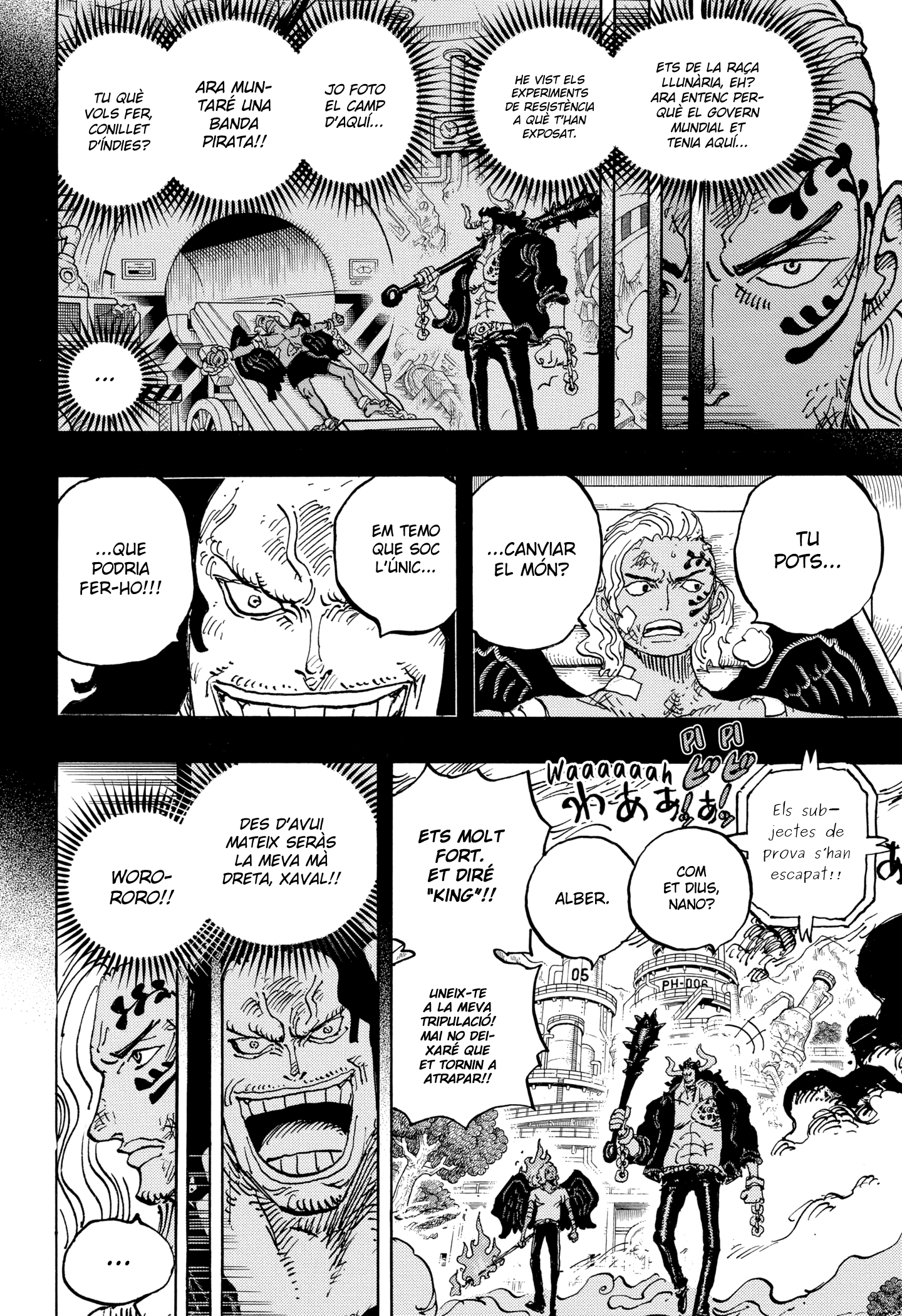 Read One Piece CAT Manga Online