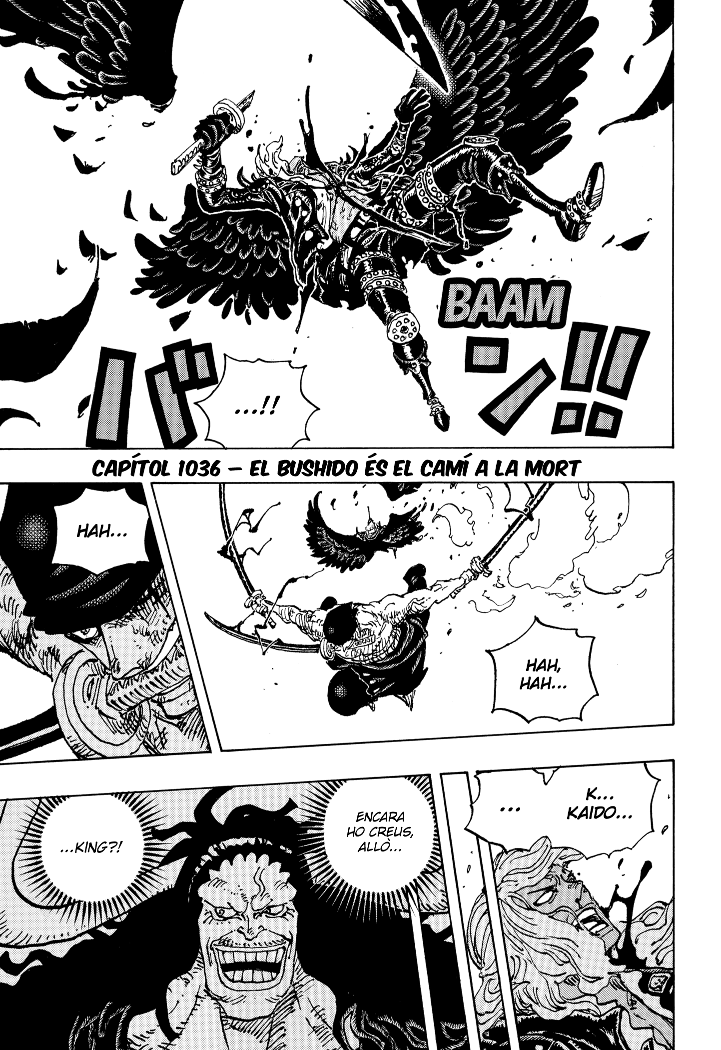 Read One Piece CAT Manga Online