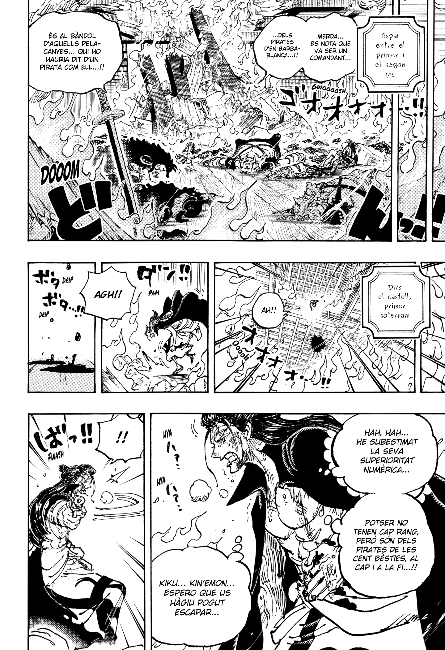 Read One Piece CAT Manga Online