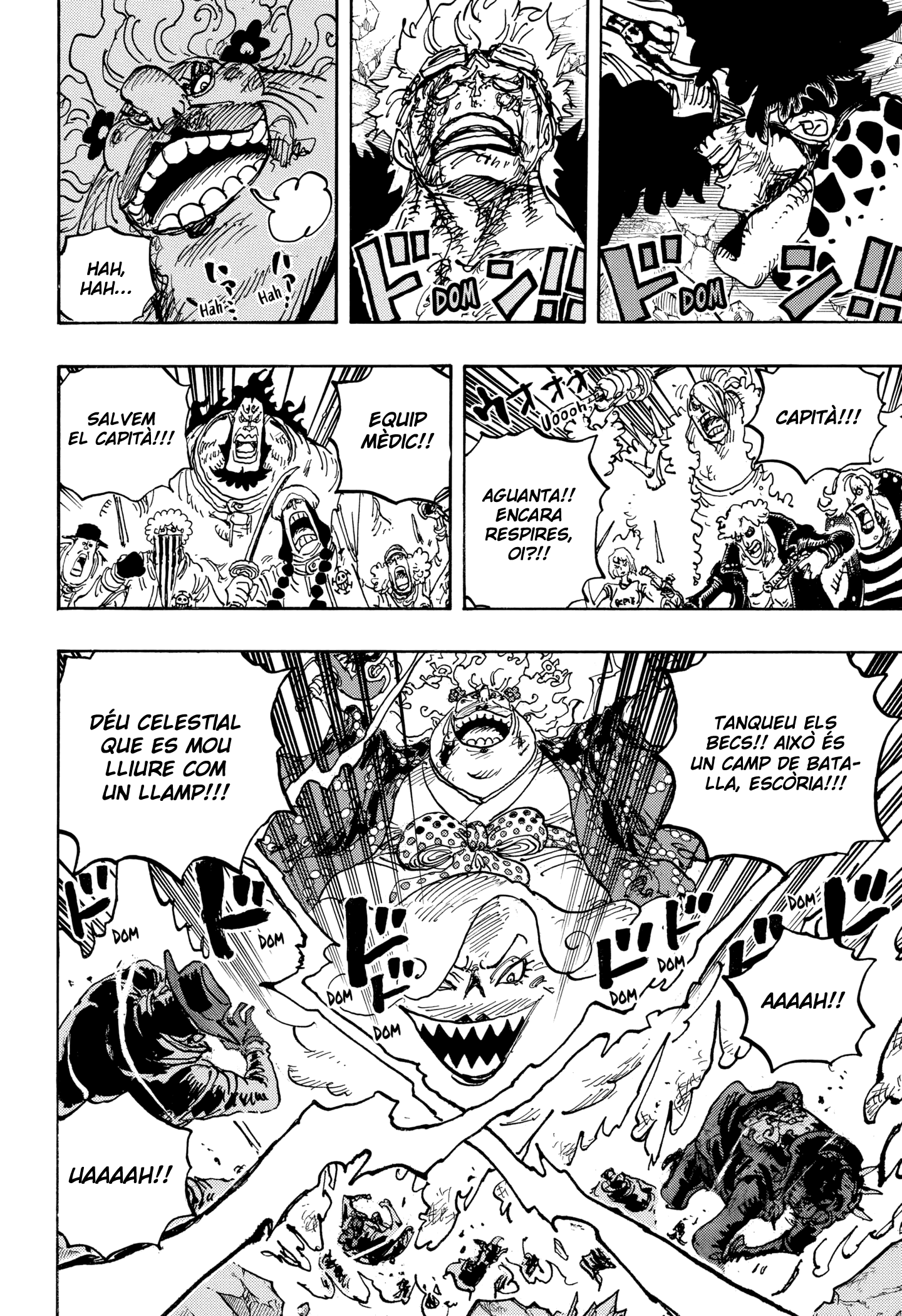 Read One Piece CAT Manga Online