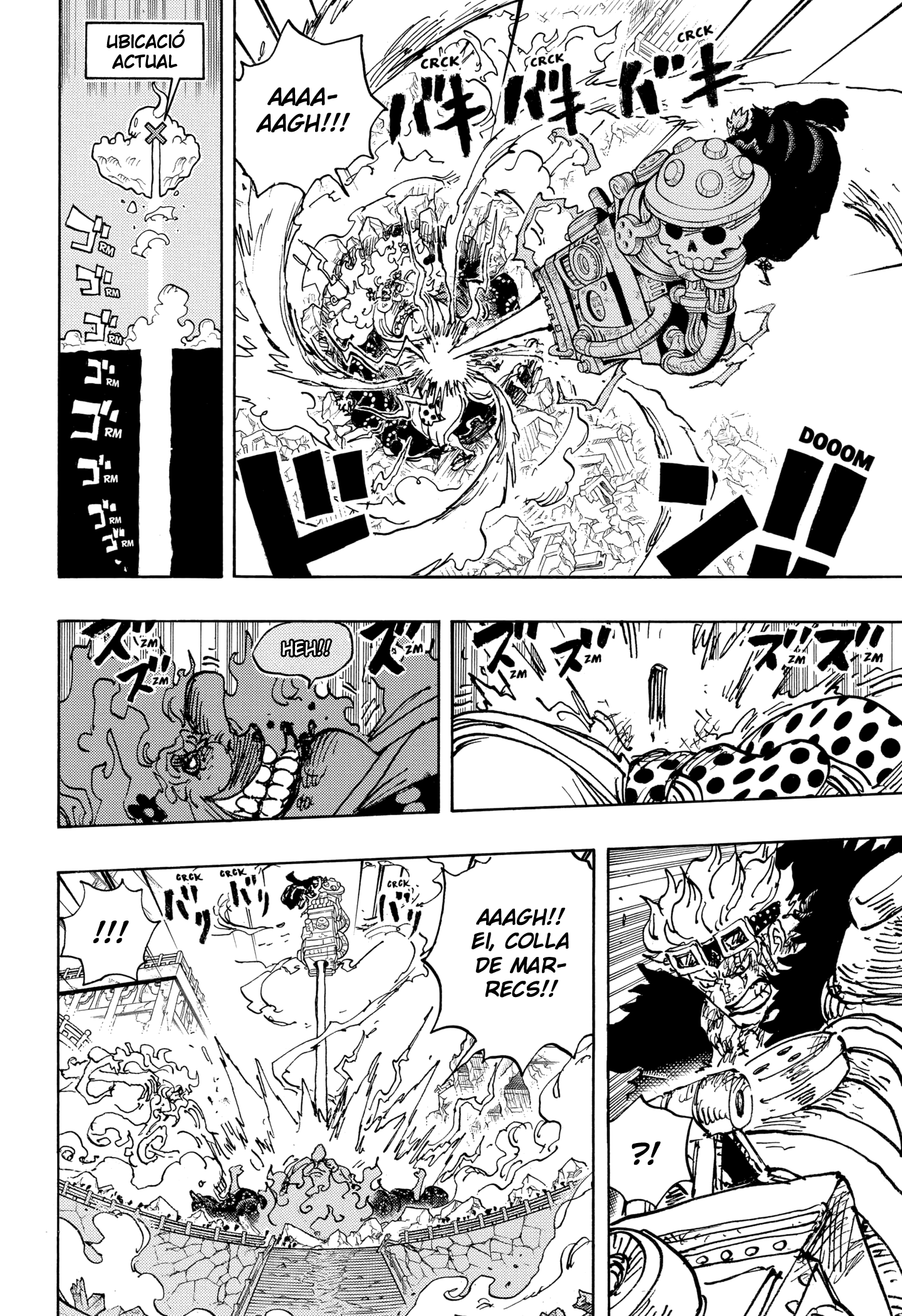 Read One Piece CAT Manga Online