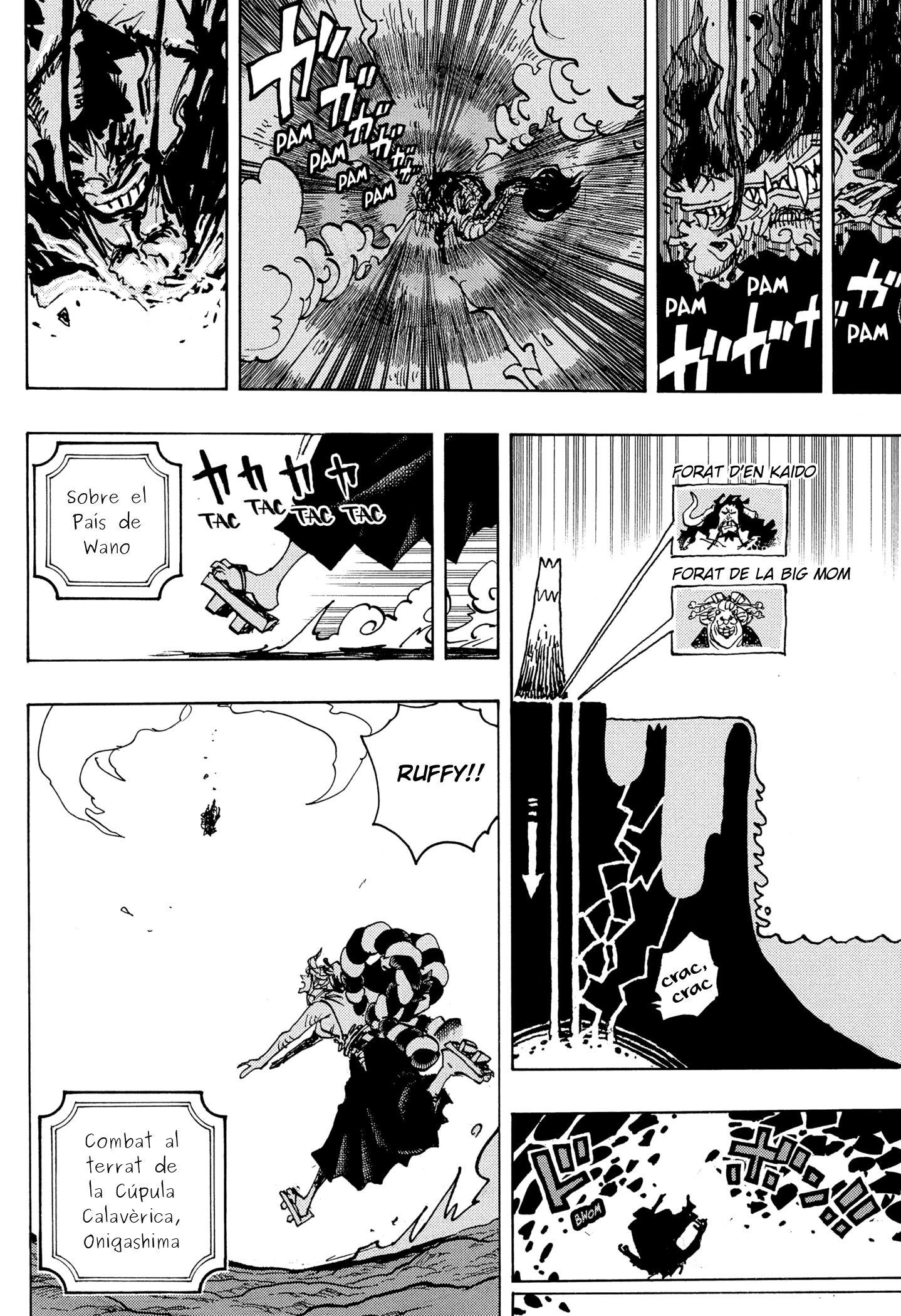 Read One Piece CAT Manga Online