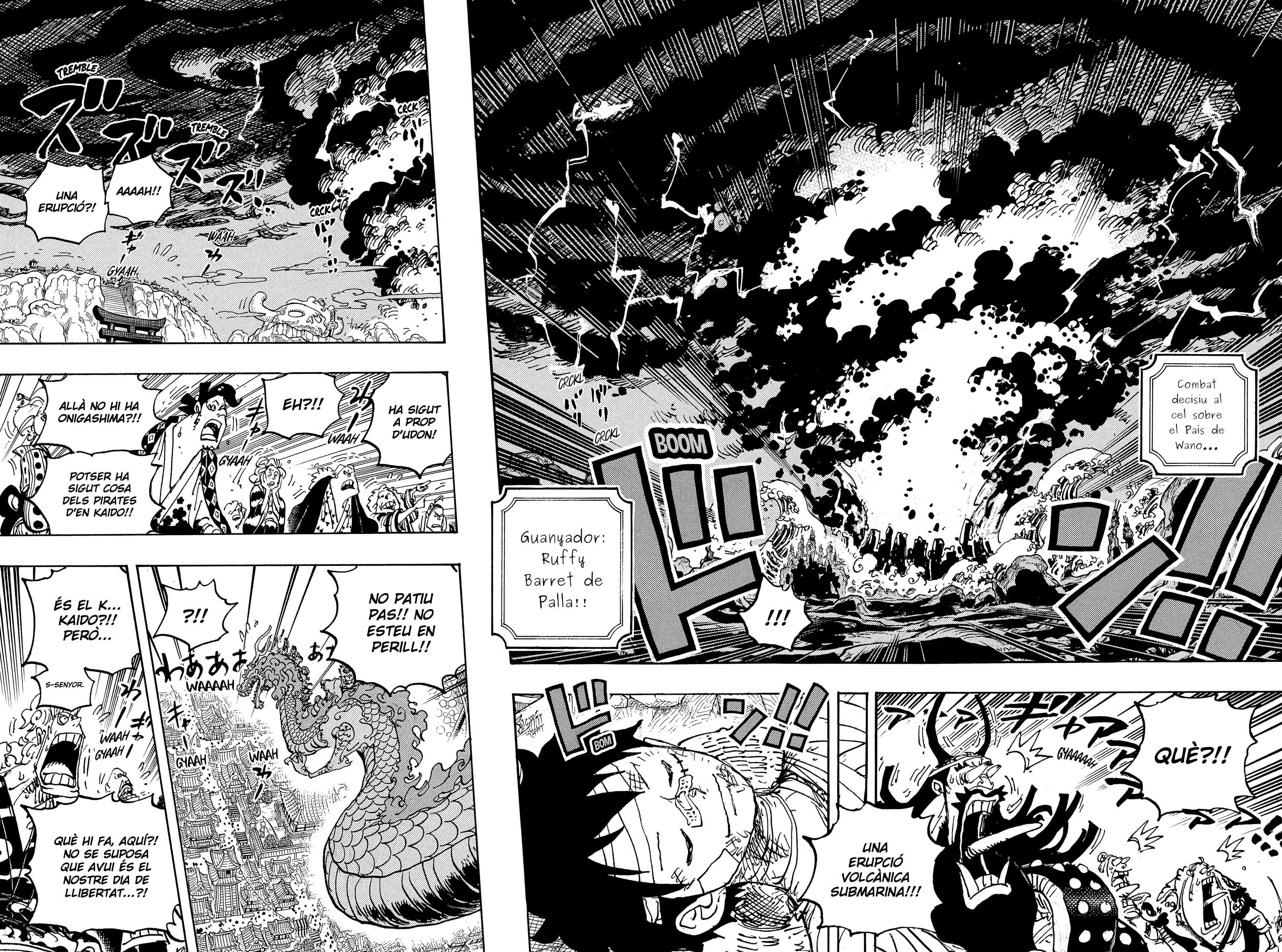 Read One Piece CAT Manga Online