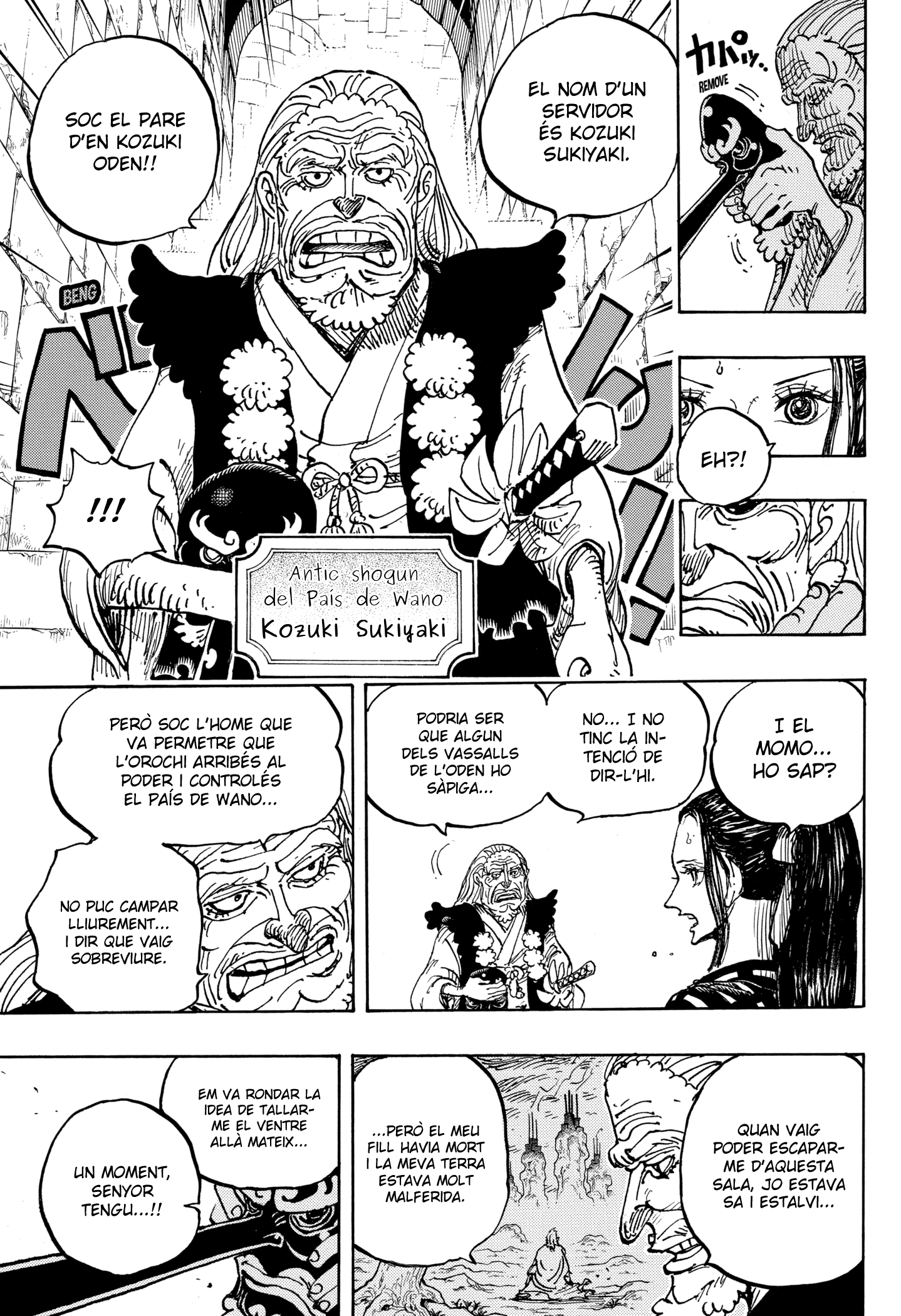 Read One Piece CAT Manga Online