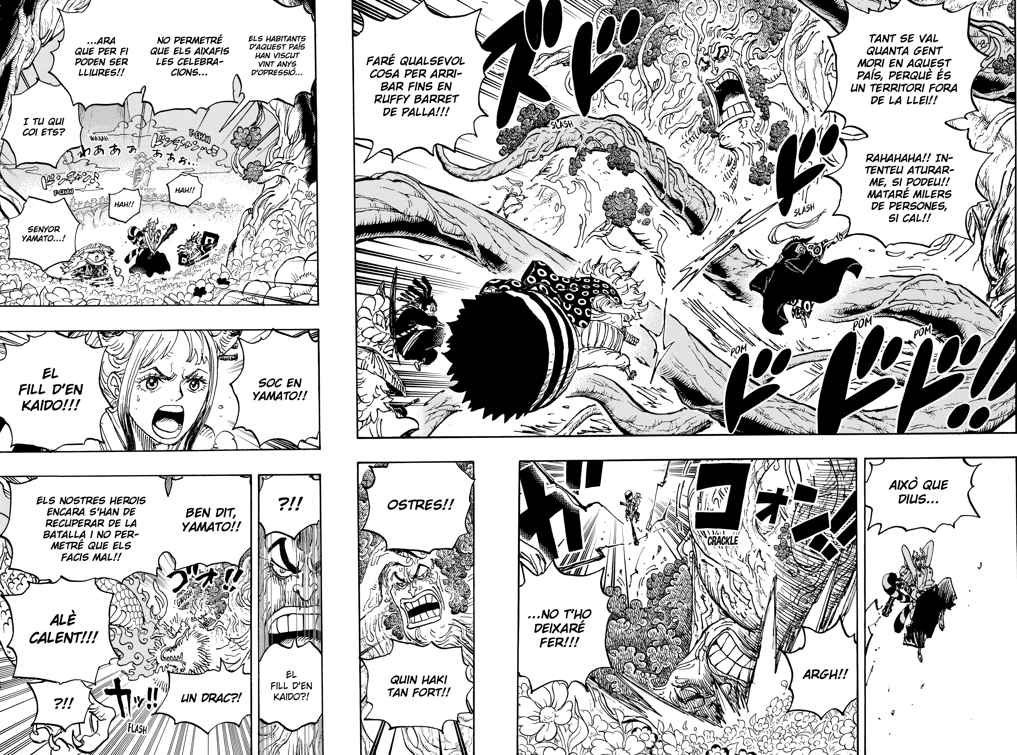 Read One Piece CAT Manga Online