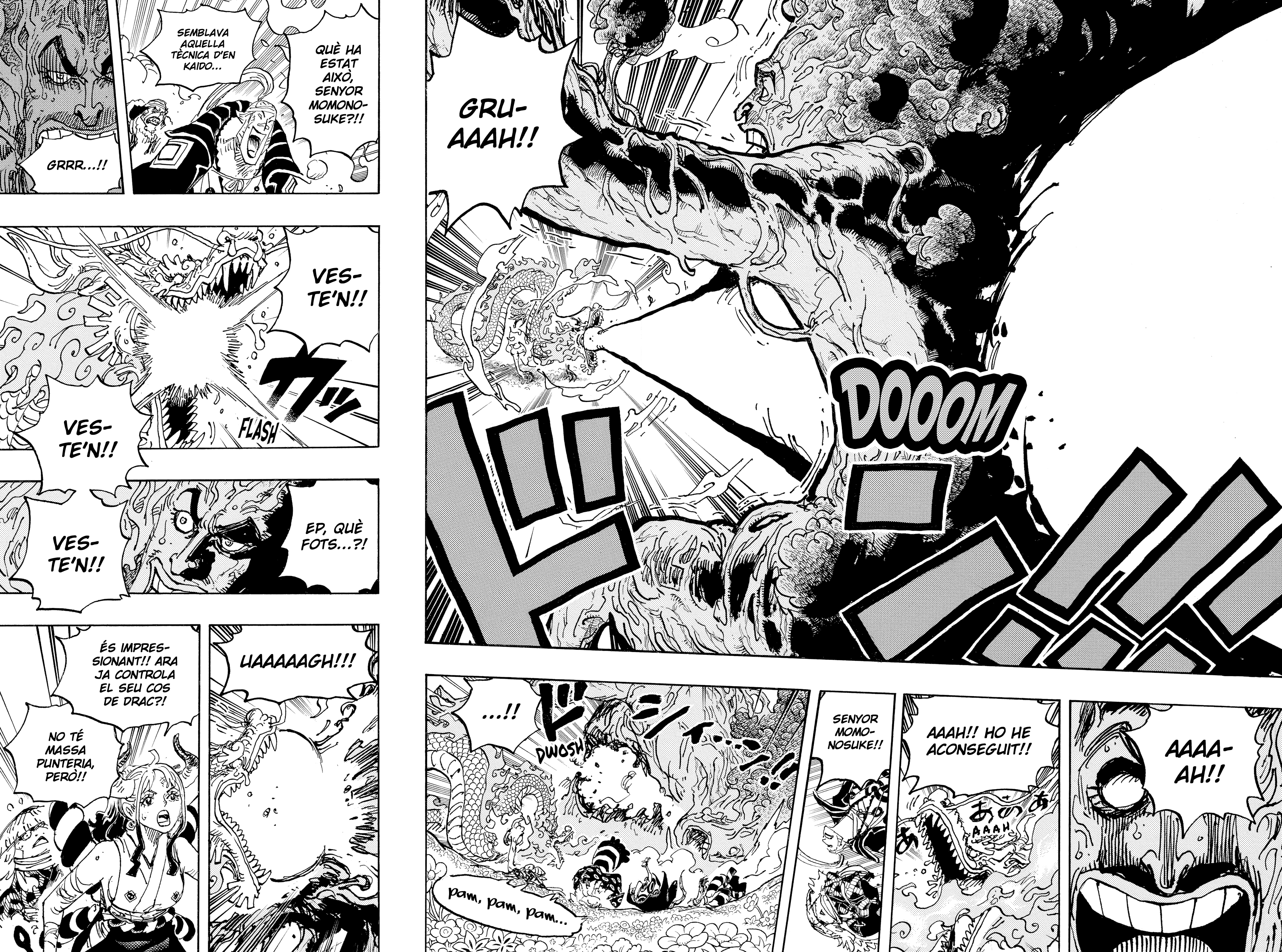Read One Piece CAT Manga Online