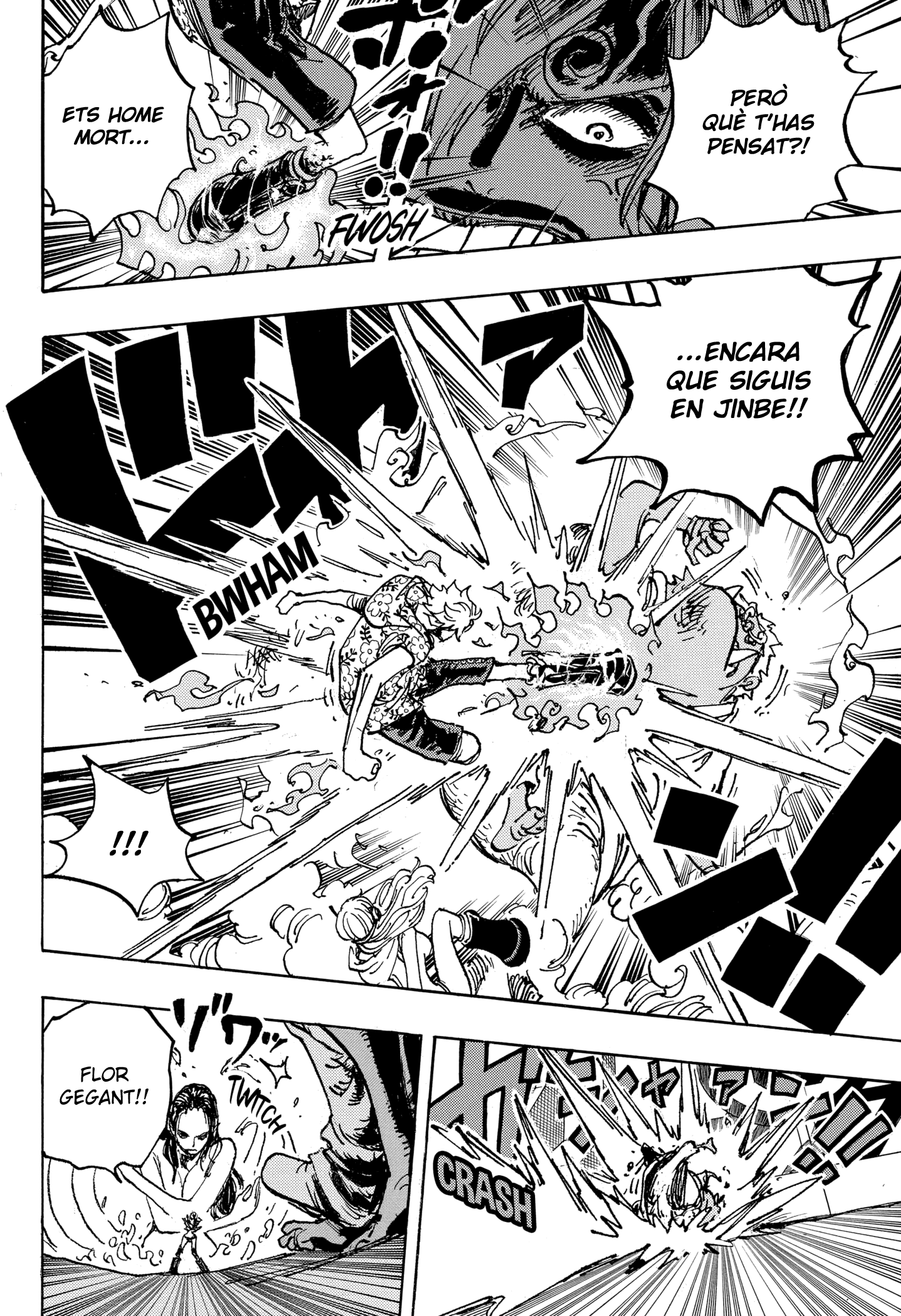 Read One Piece CAT Manga Online