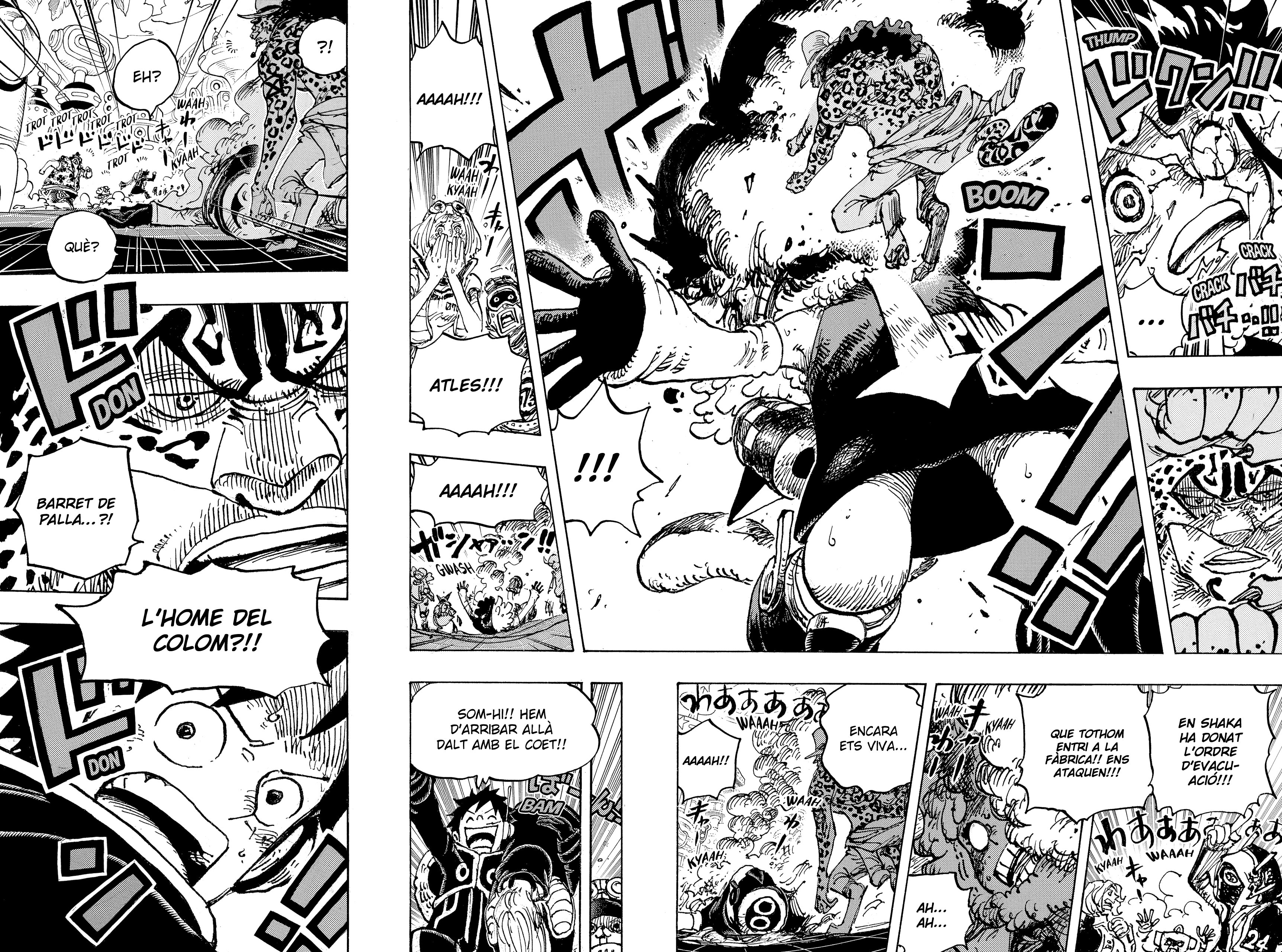 Read One Piece CAT Manga Online