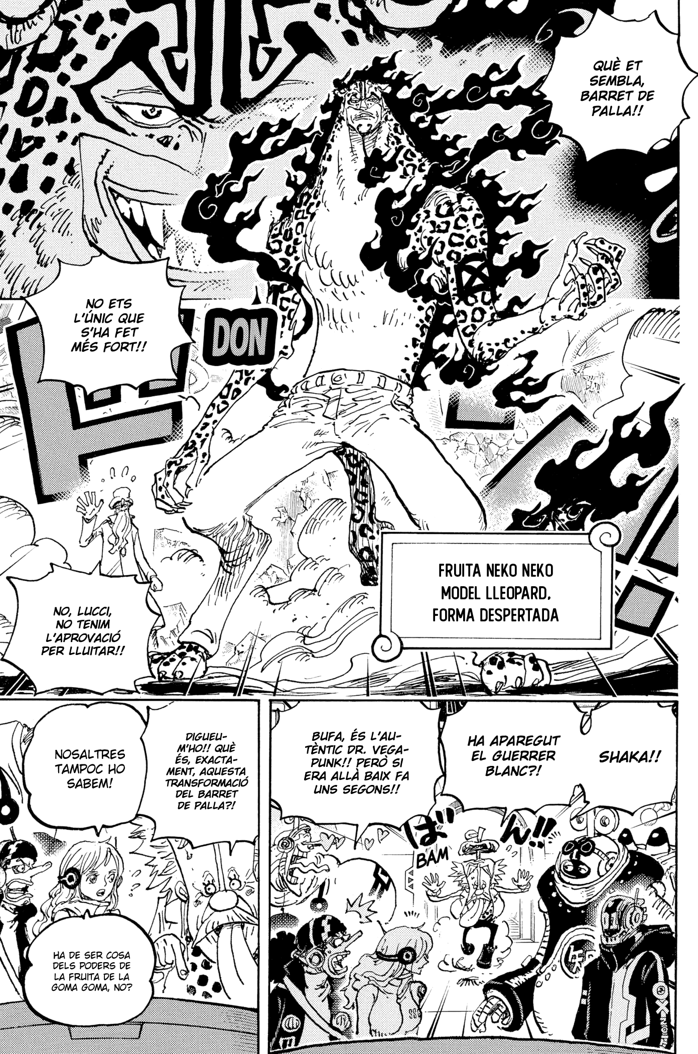 Read One Piece CAT Manga Online