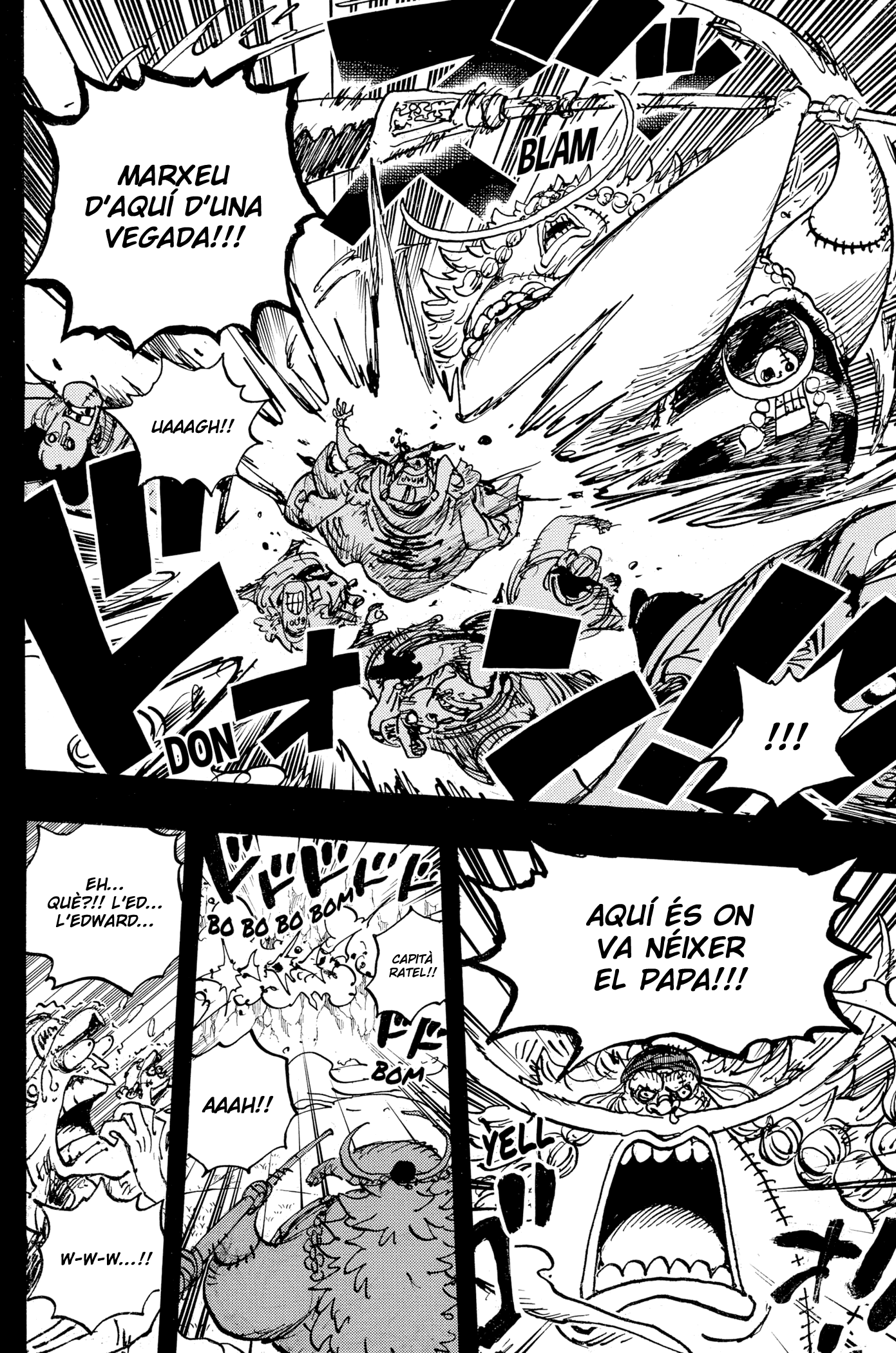 Read One Piece CAT Manga Online
