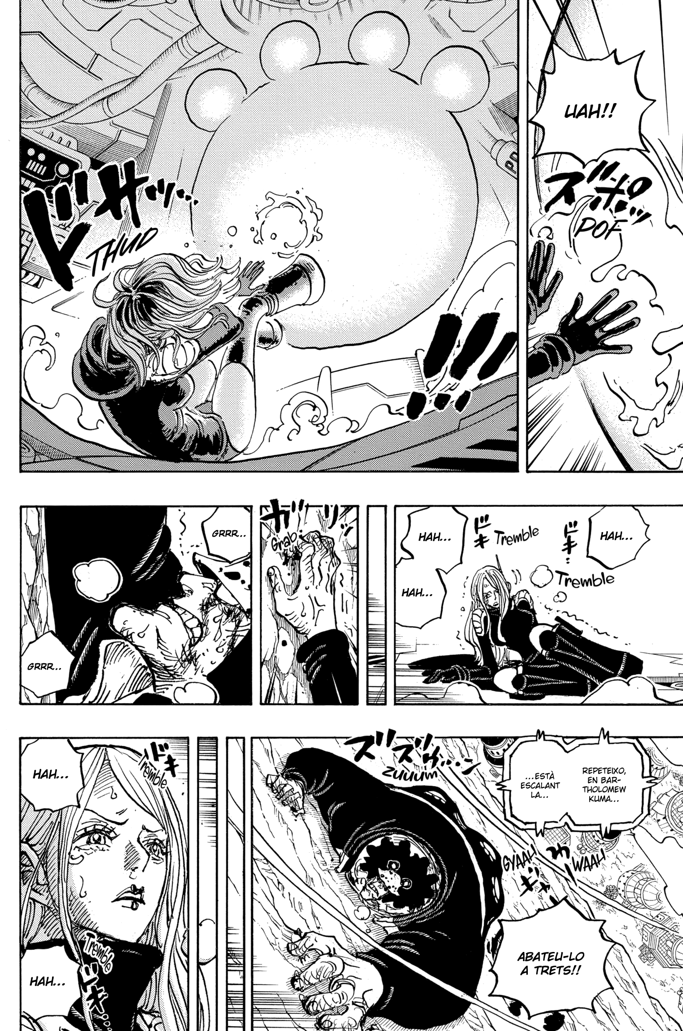 Read One Piece CAT Manga Online