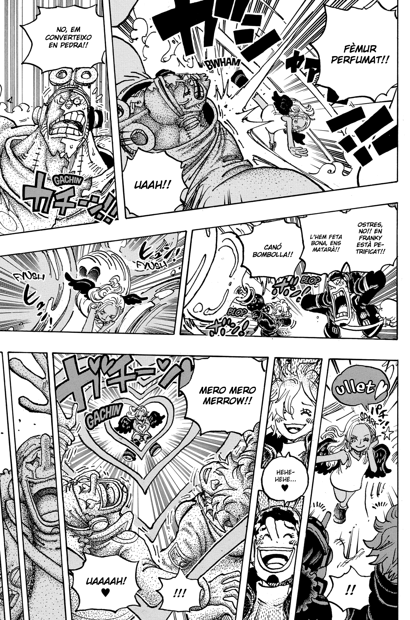 Read One Piece CAT Manga Online