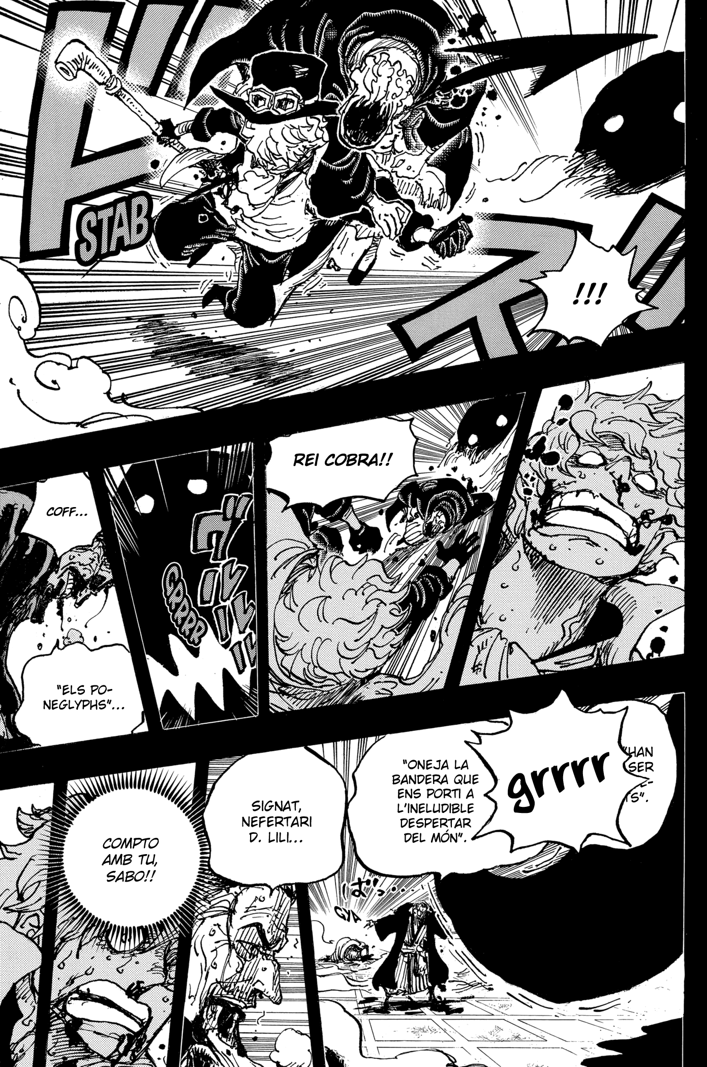 Read One Piece CAT Manga Online