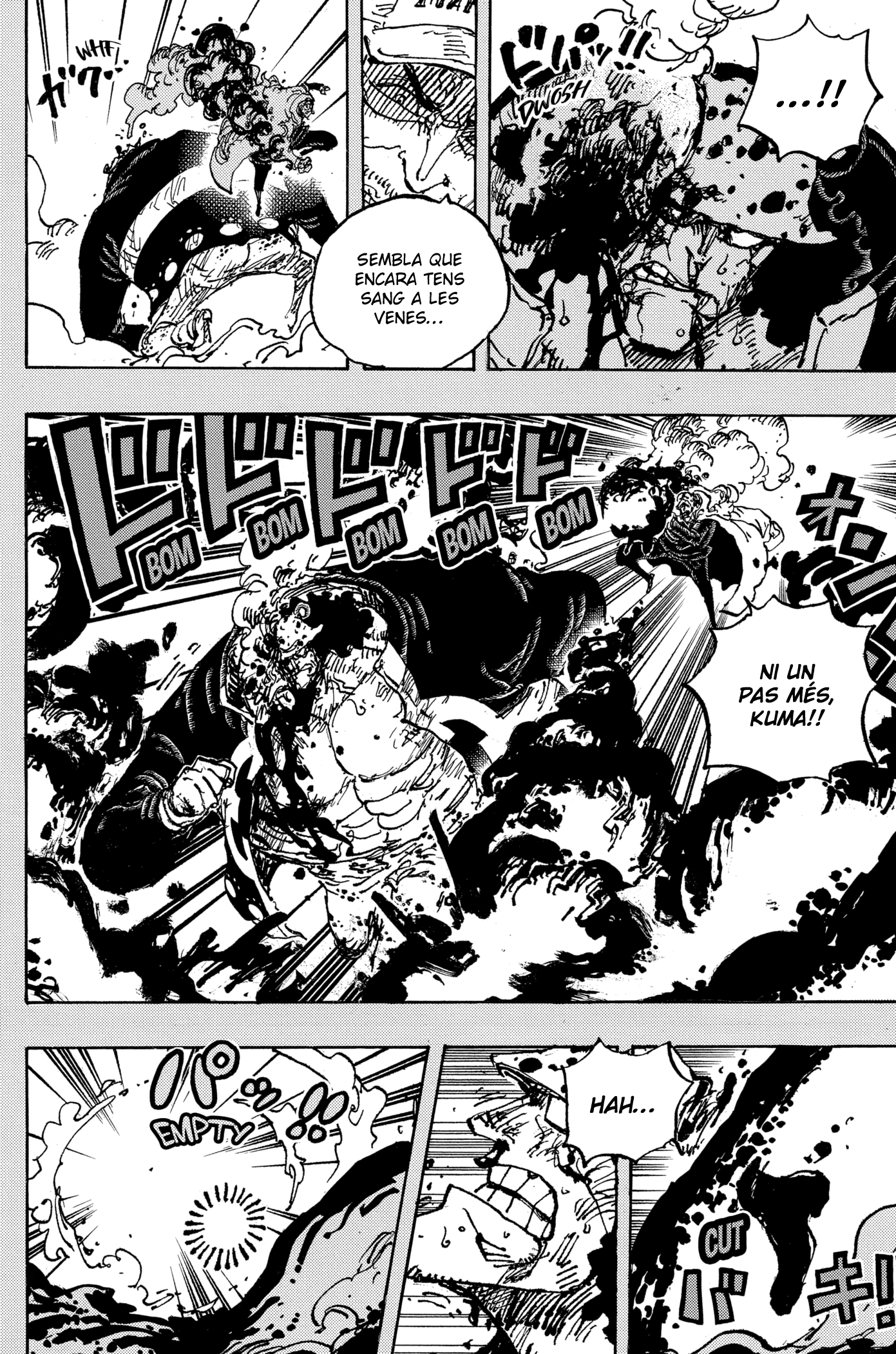 Read One Piece CAT Manga Online
