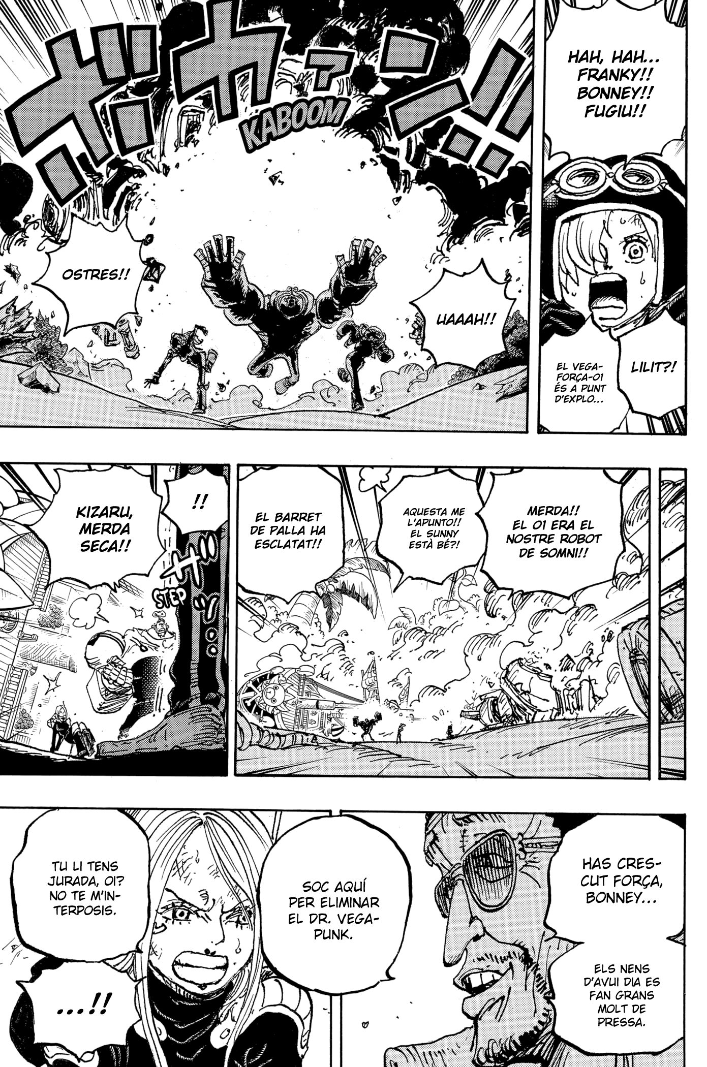 Read One Piece CAT Manga Online