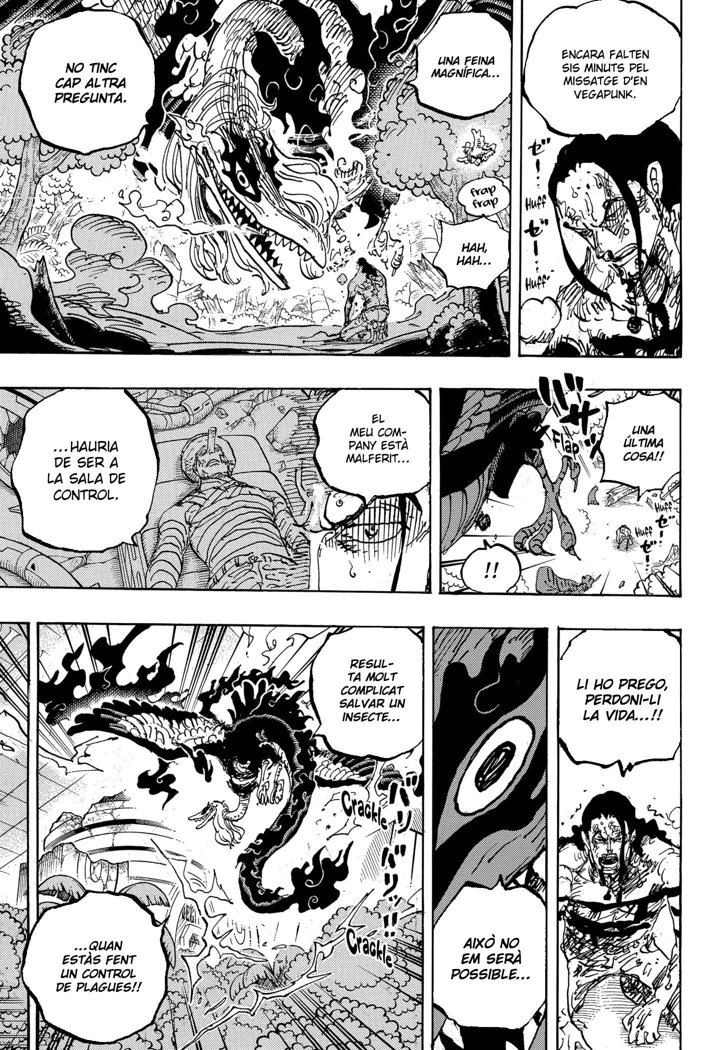 Read One Piece CAT Manga Online