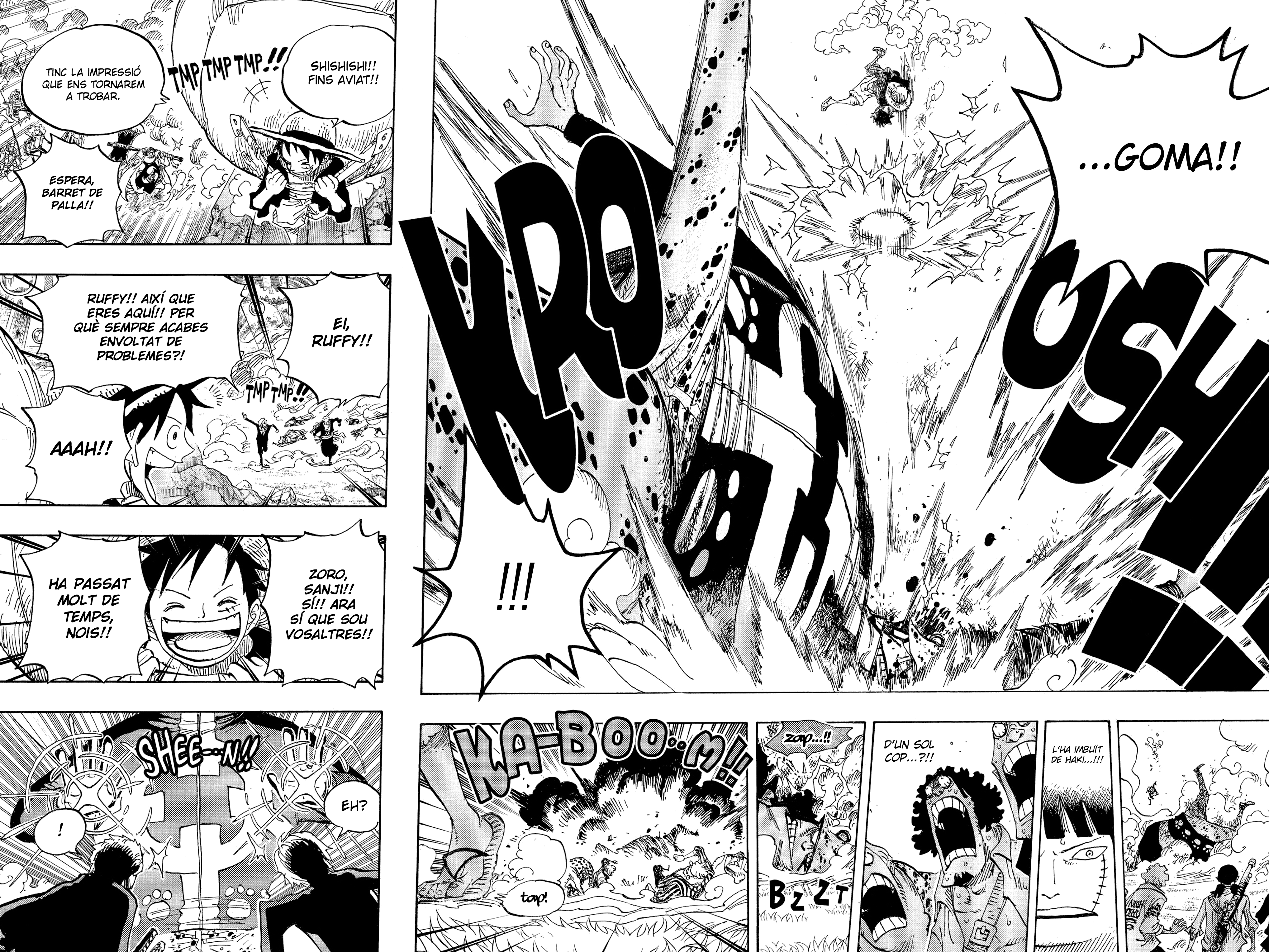 Read One Piece CAT Manga Online