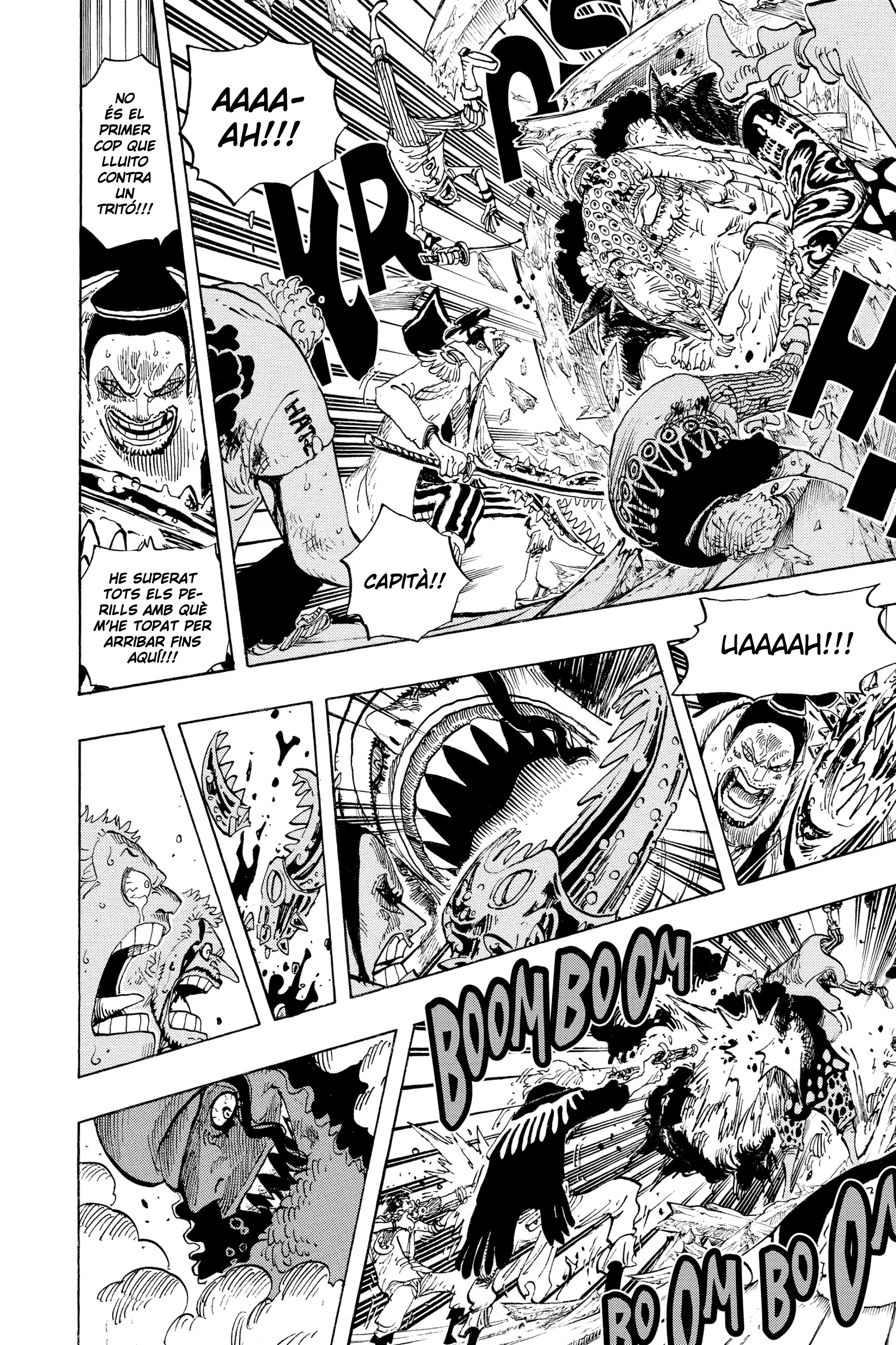 Read One Piece CAT Manga Online
