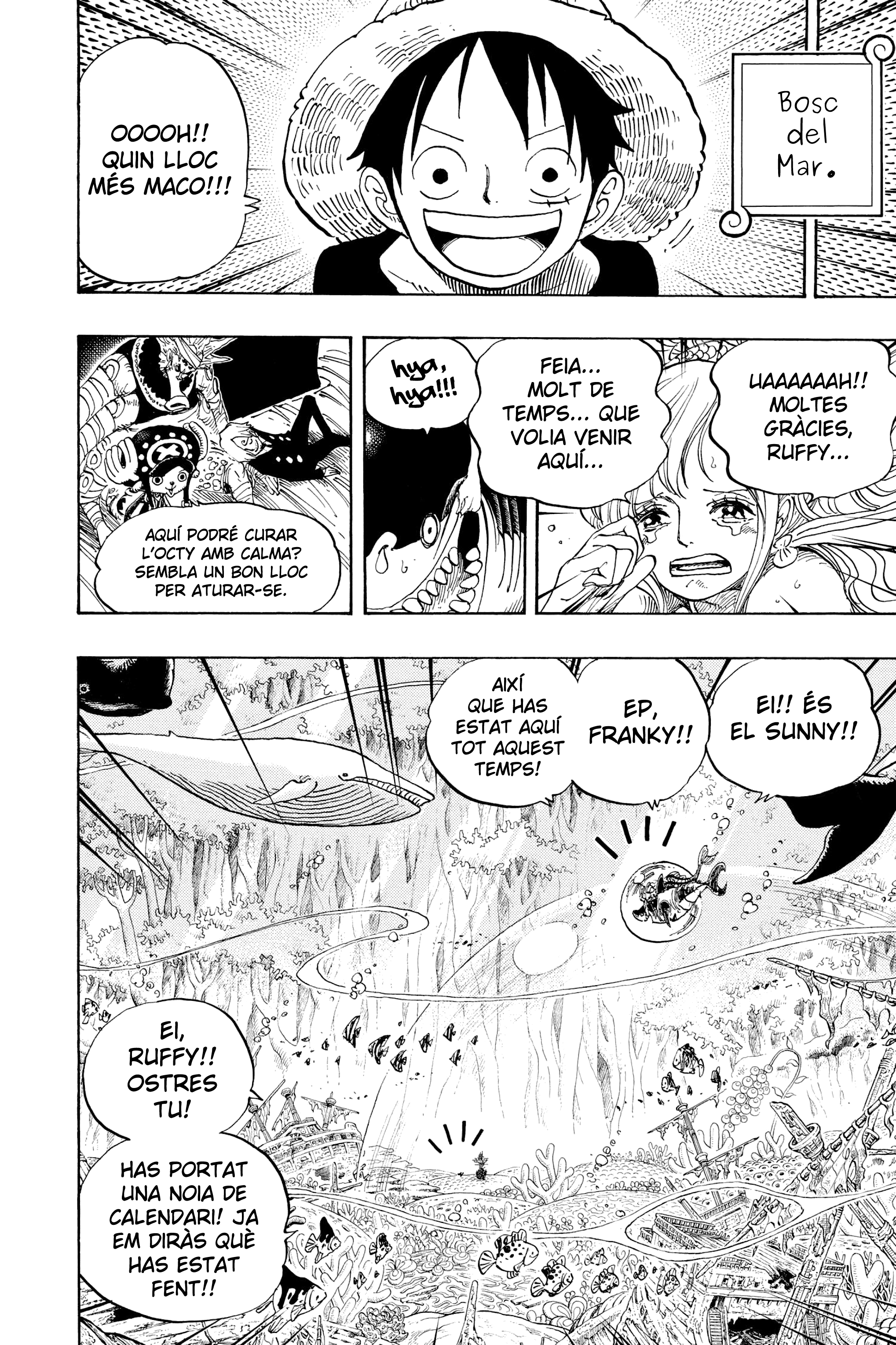 Read One Piece CAT Manga Online