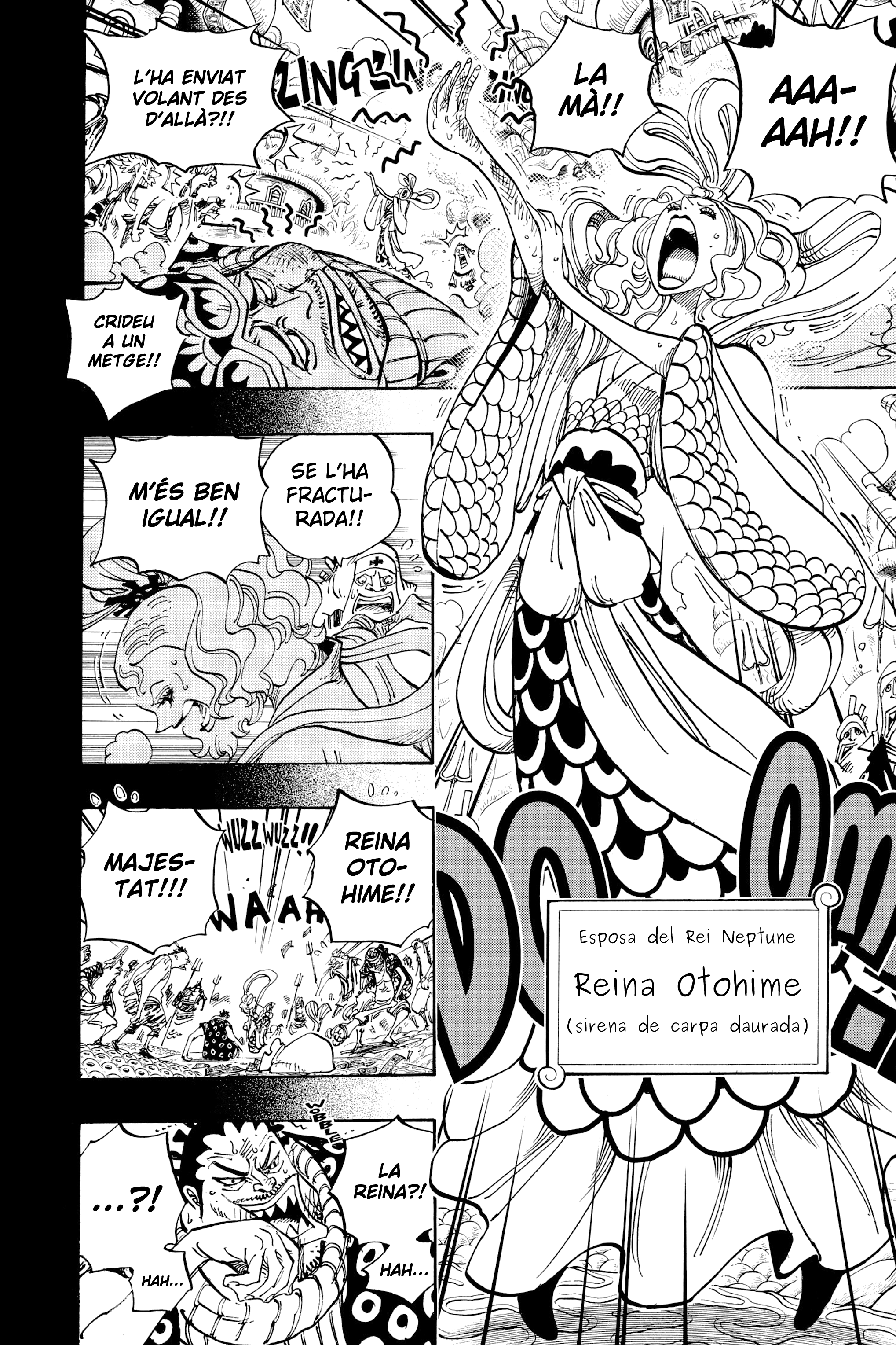 Read One Piece CAT Manga Online