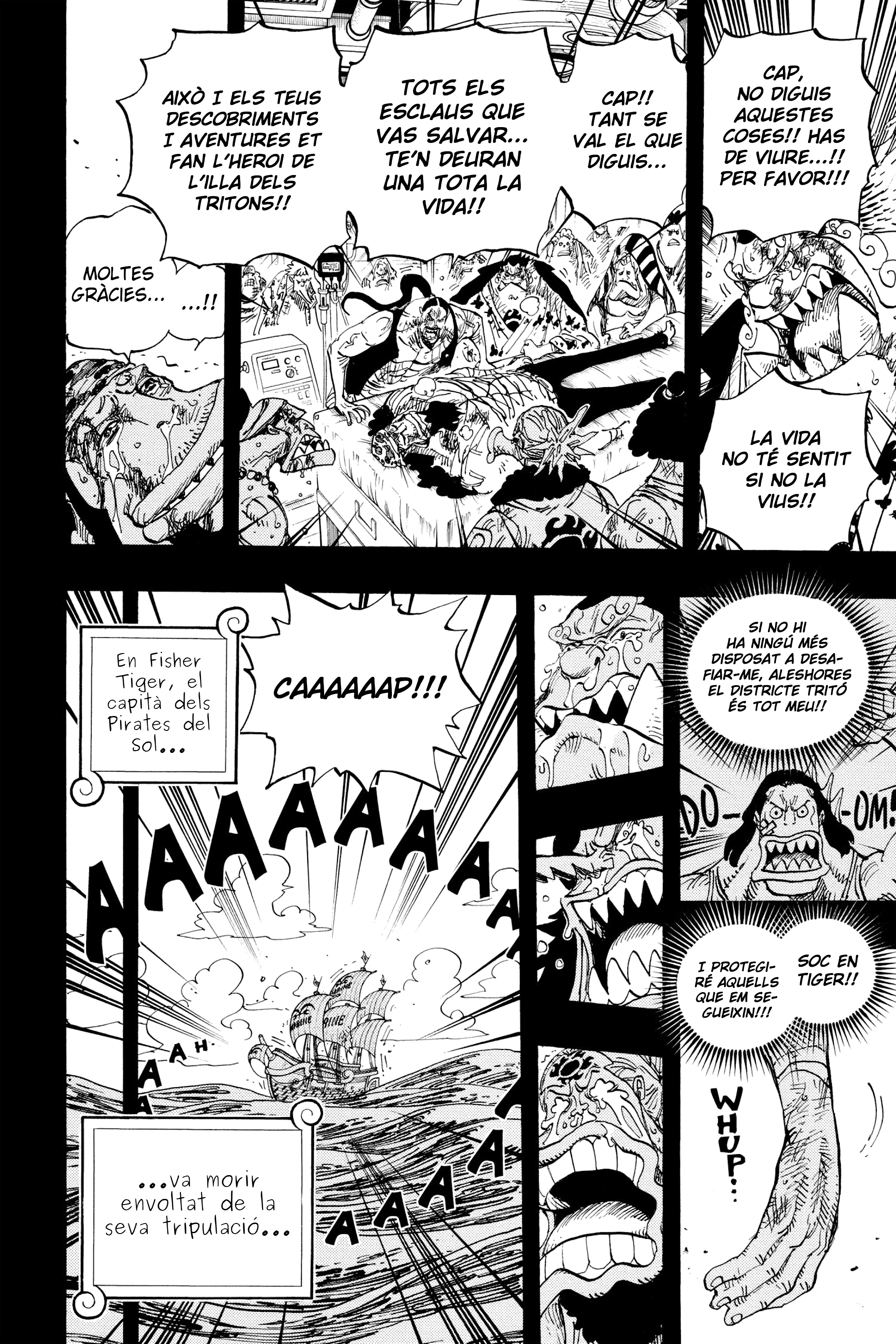 Read One Piece CAT Manga Online